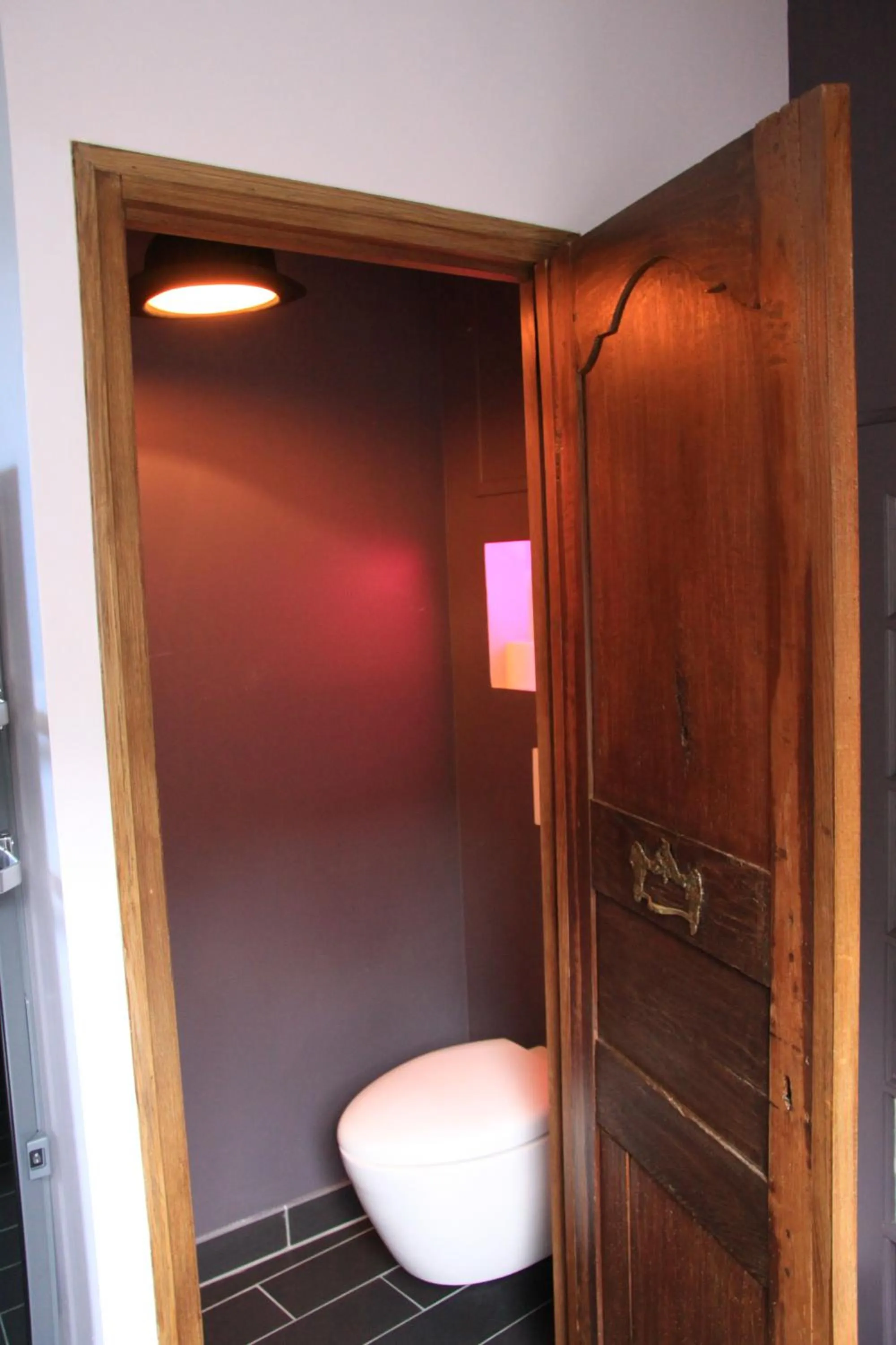 Toilet in L'Hibernie