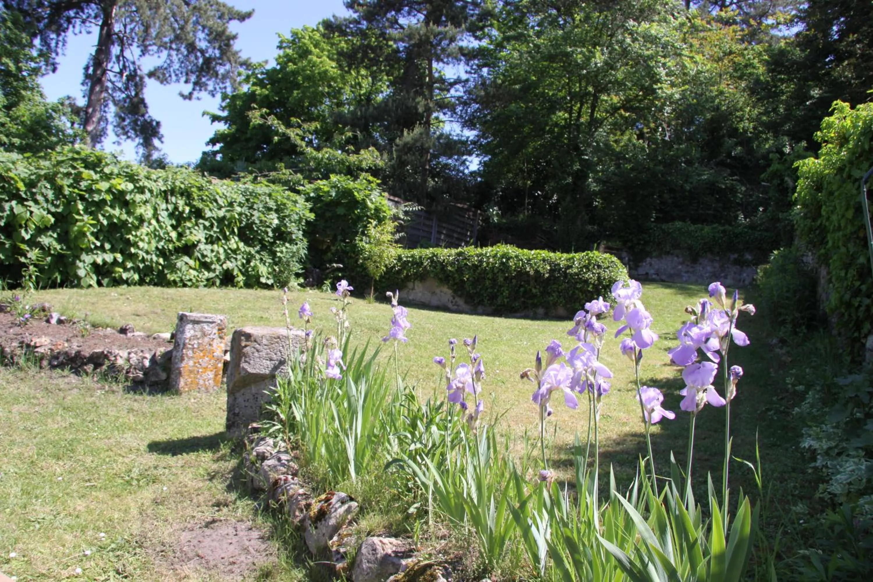 Garden in L'Hibernie