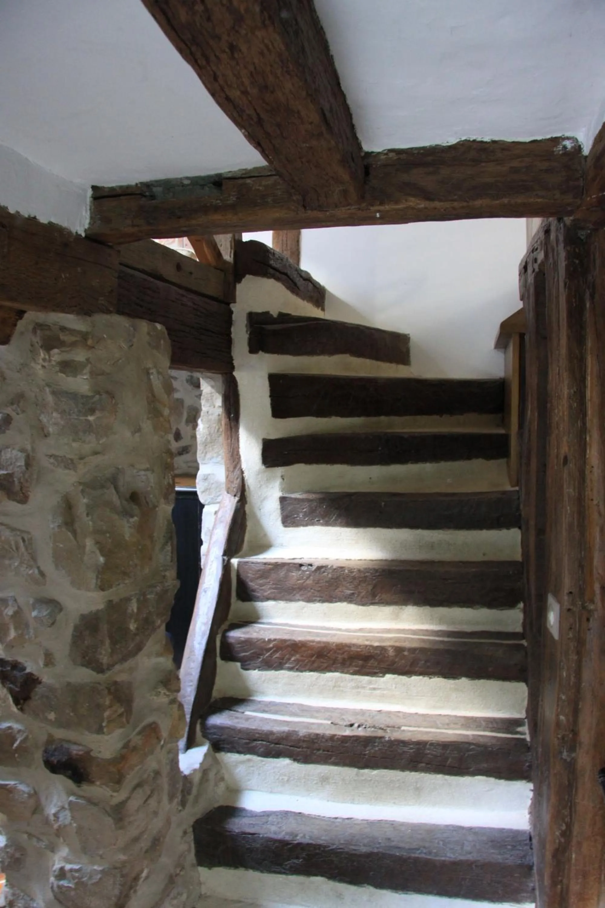 Area and facilities in L'Hibernie