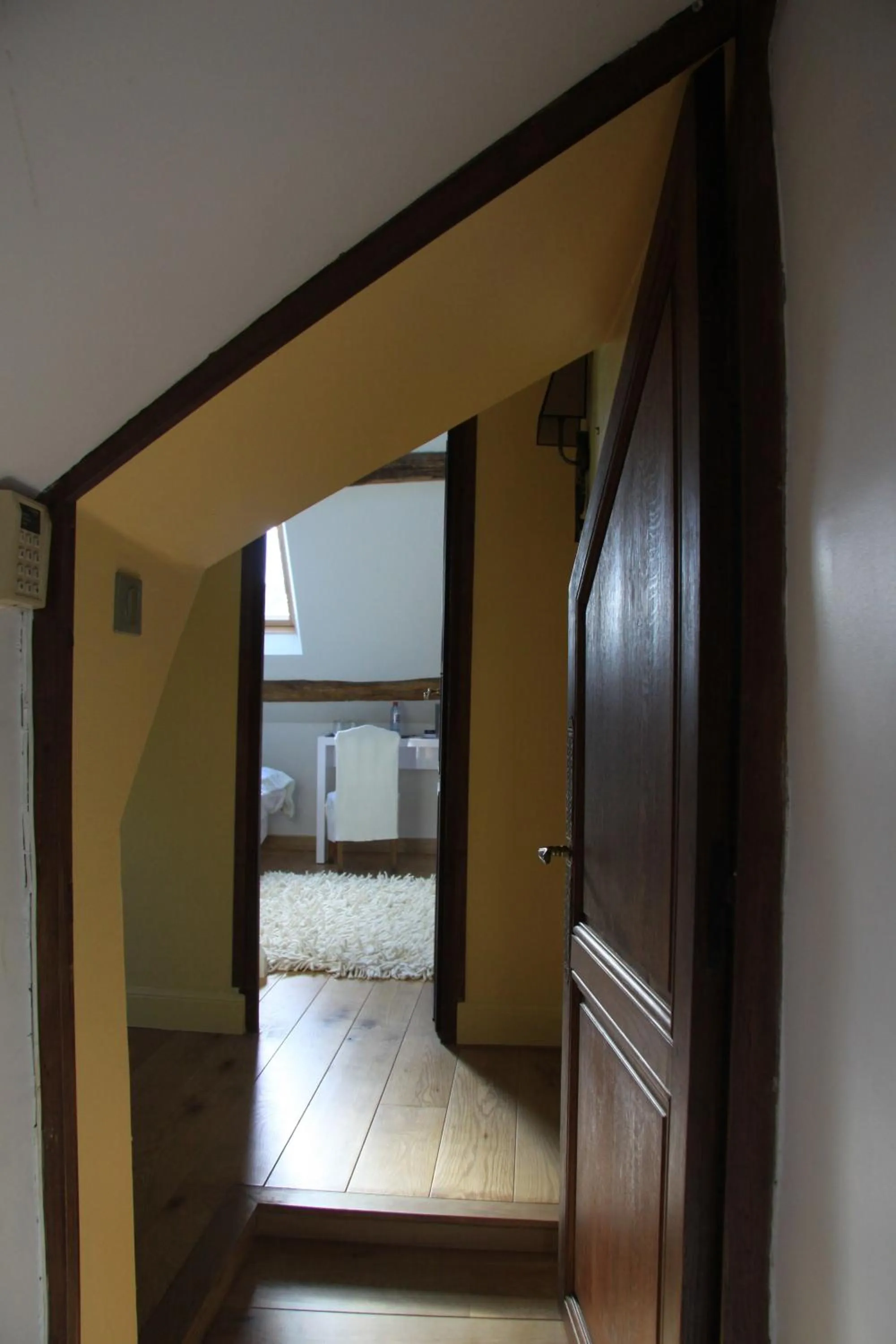 Decorative detail, Bed in L'Hibernie