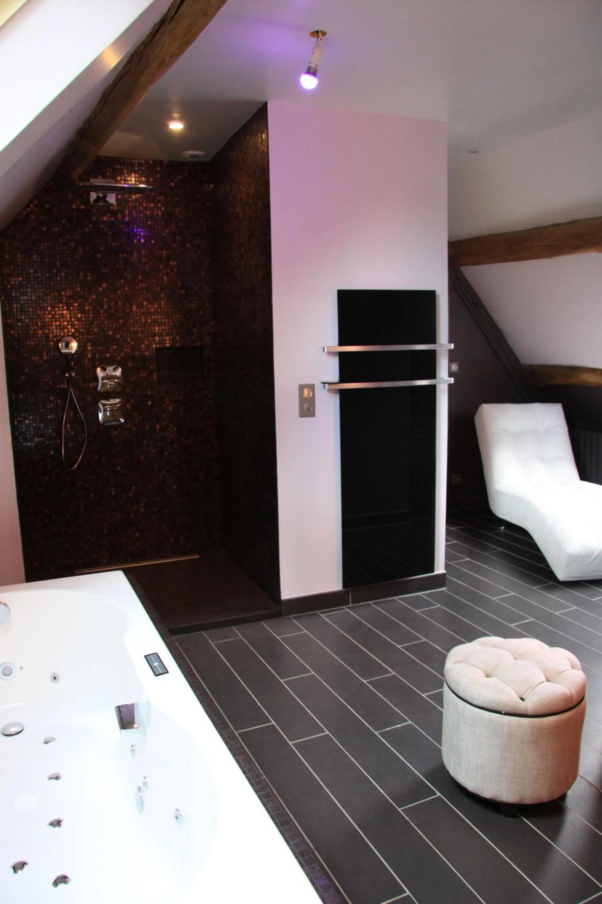 Bathroom in L'Hibernie