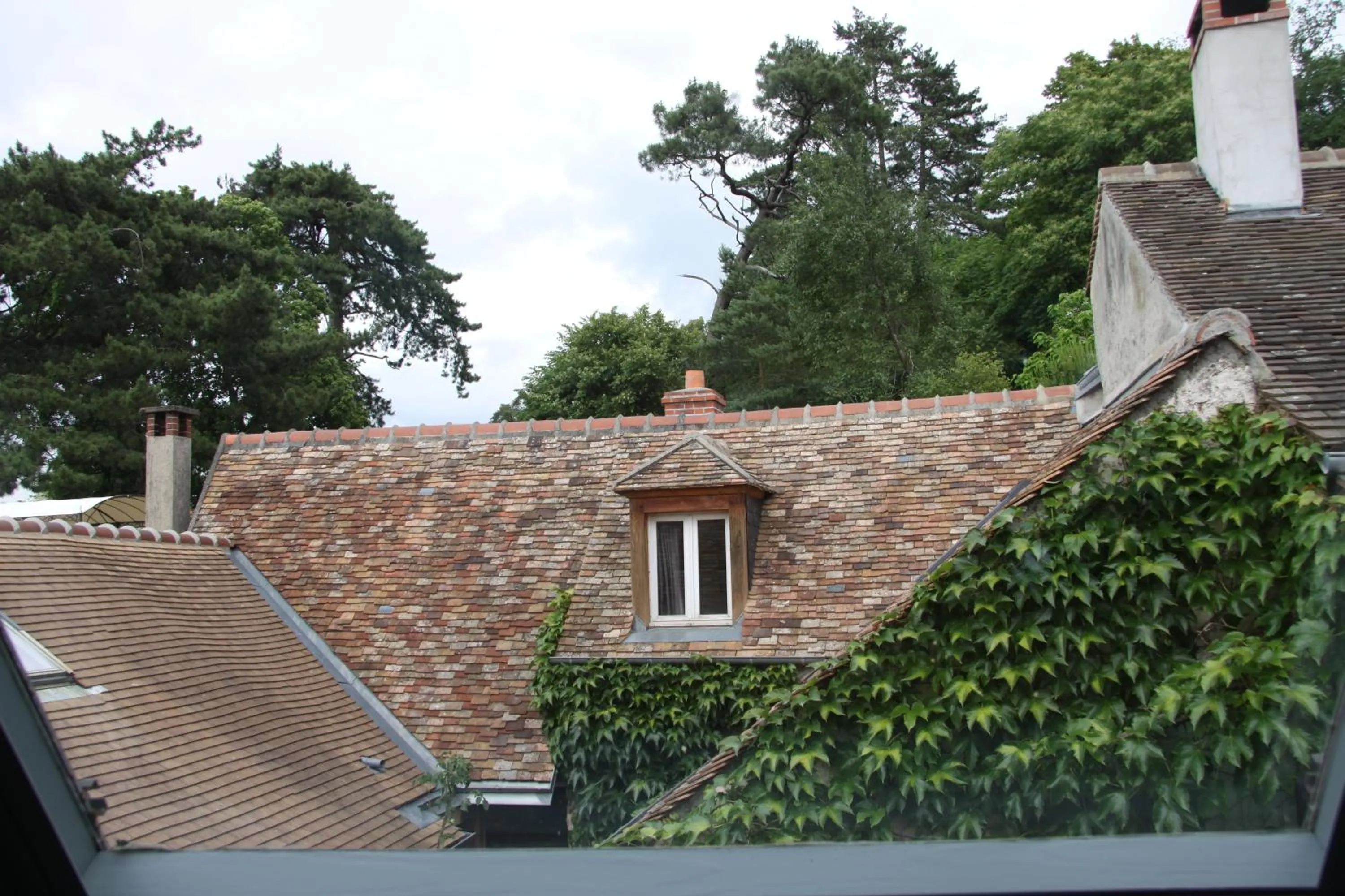 Garden view in L'Hibernie