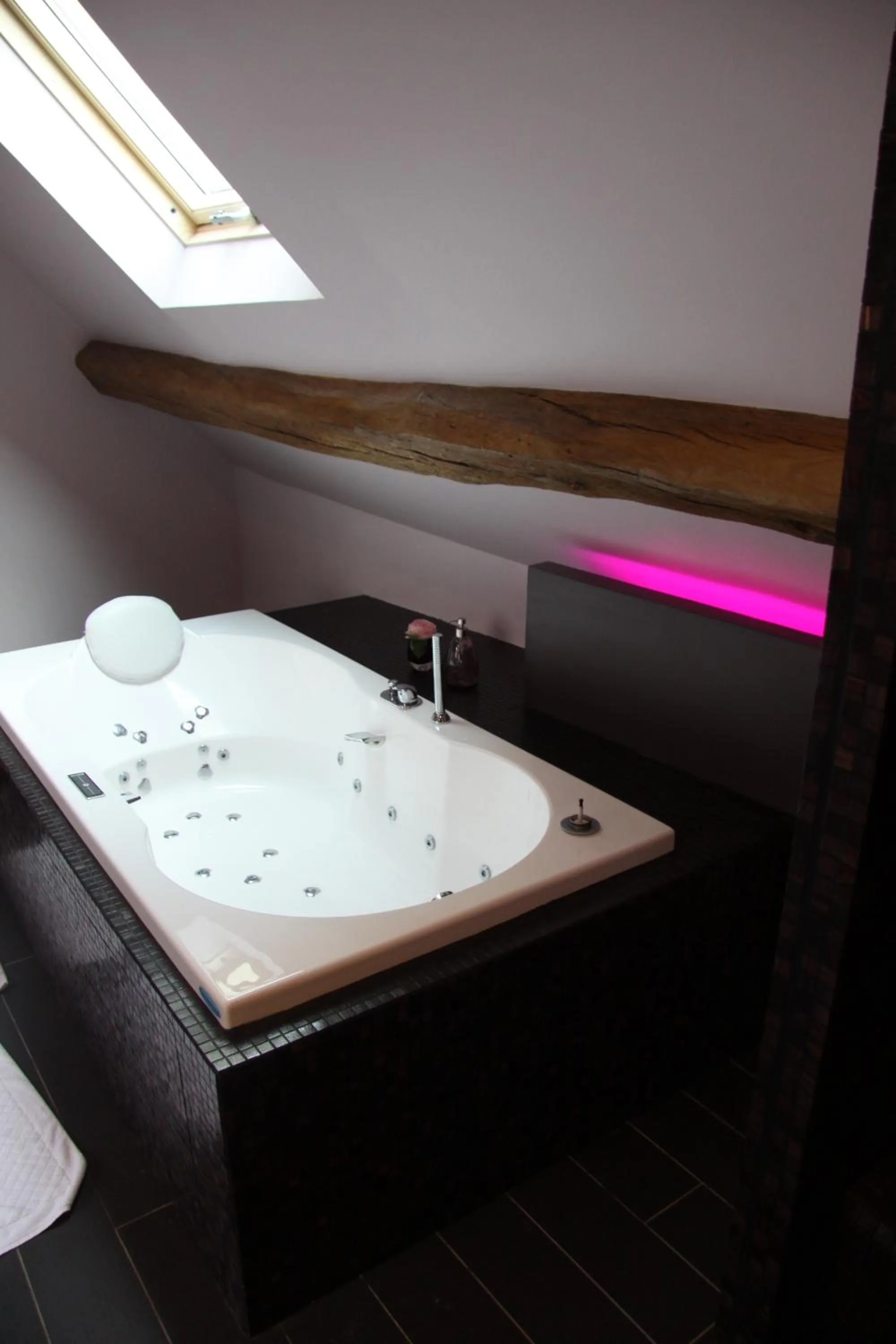 Bathroom in L'Hibernie