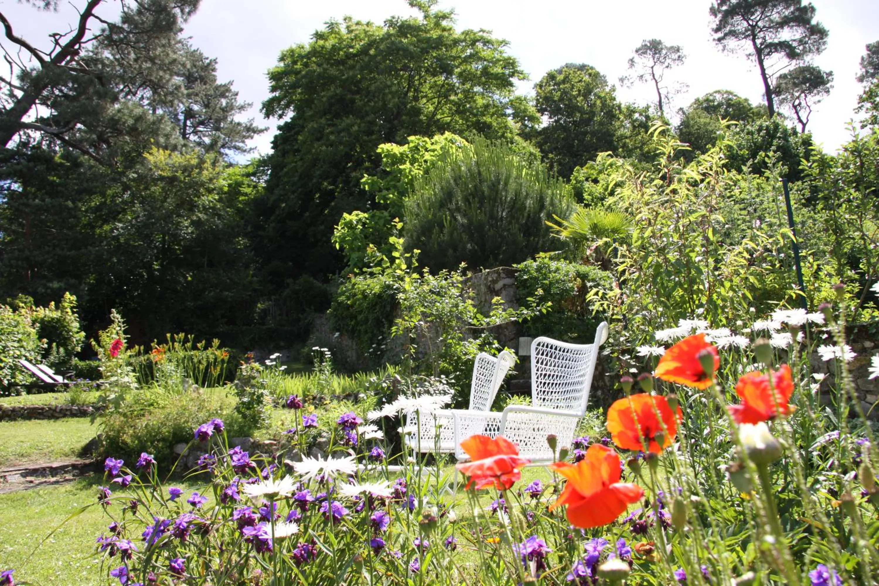 Garden in L'Hibernie