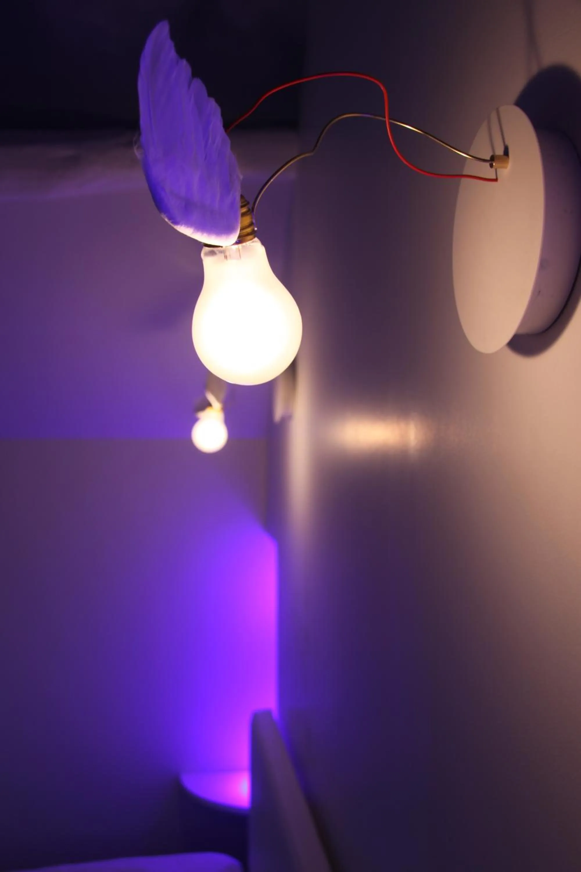 Decorative detail in L'Hibernie