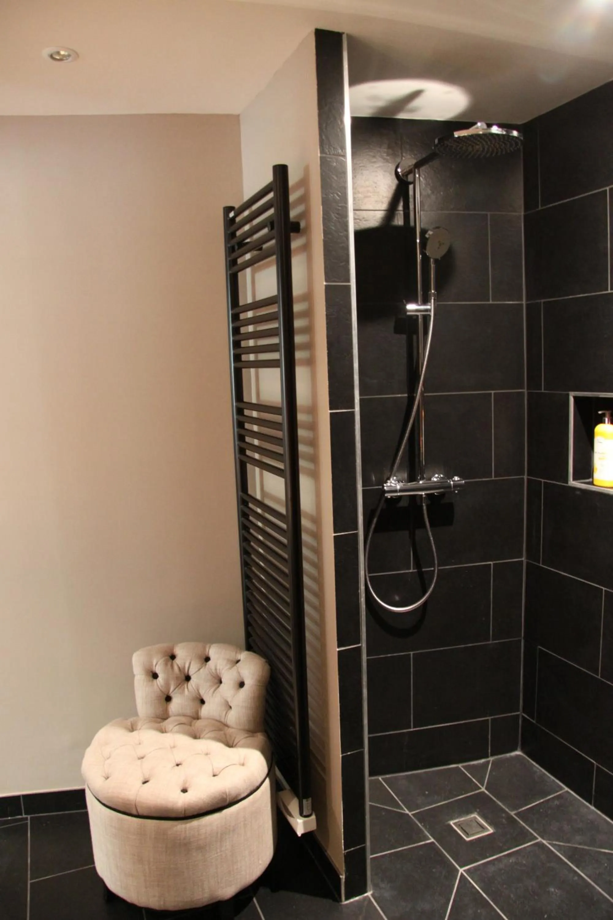 Bathroom in L'Hibernie