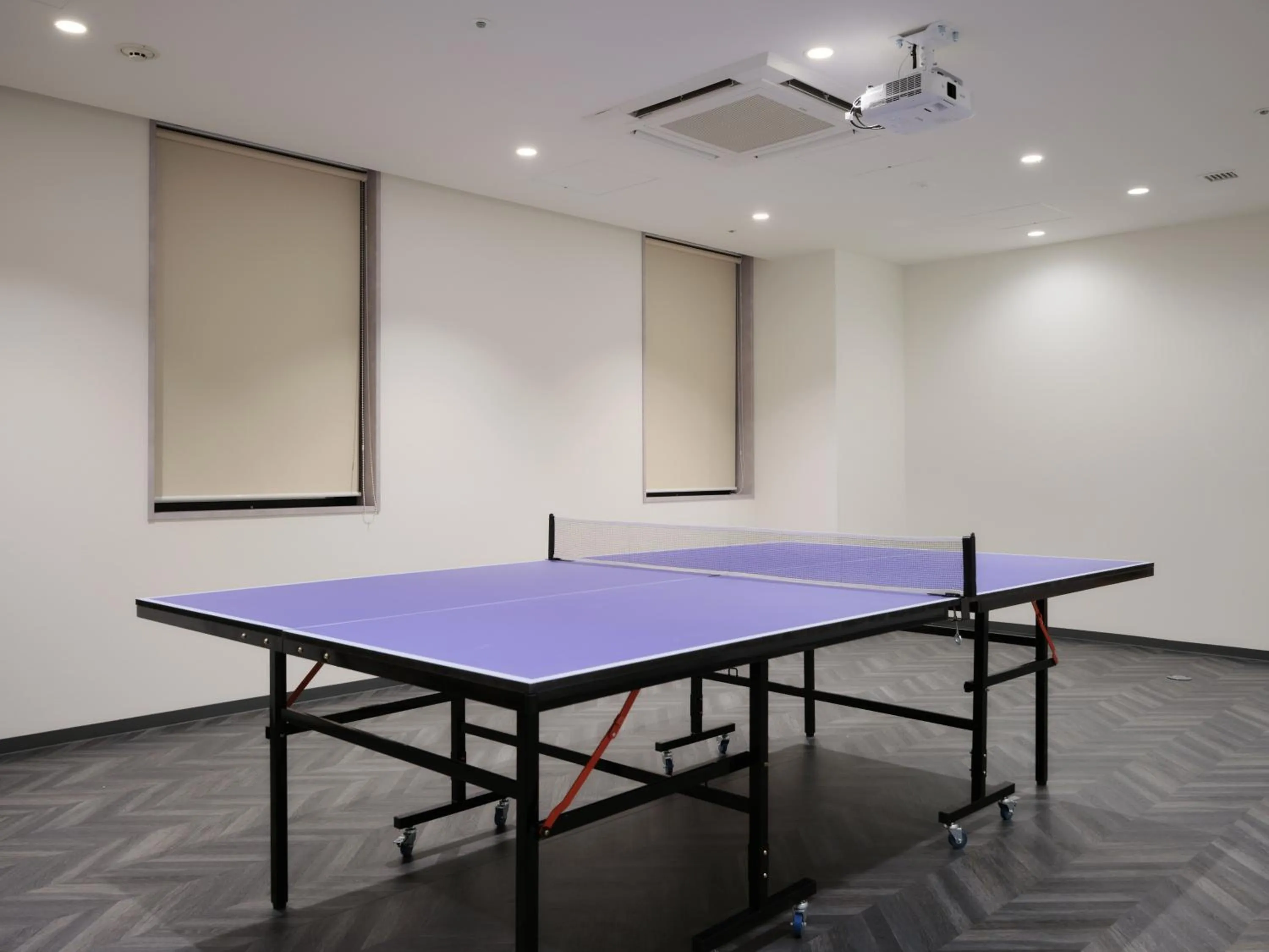 hotel MONday Premium TOYOSU