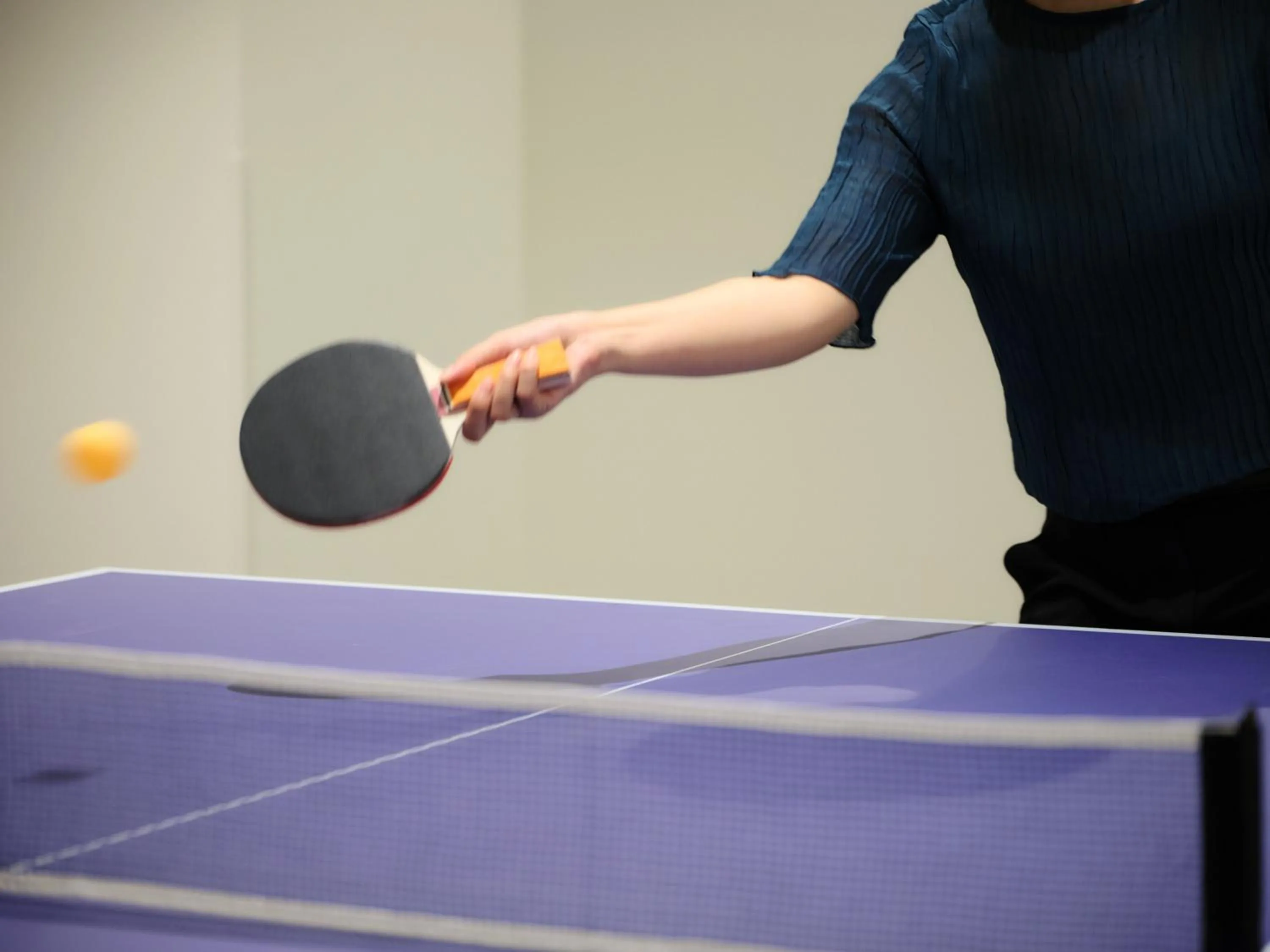 hotel MONday Premium TOYOSU