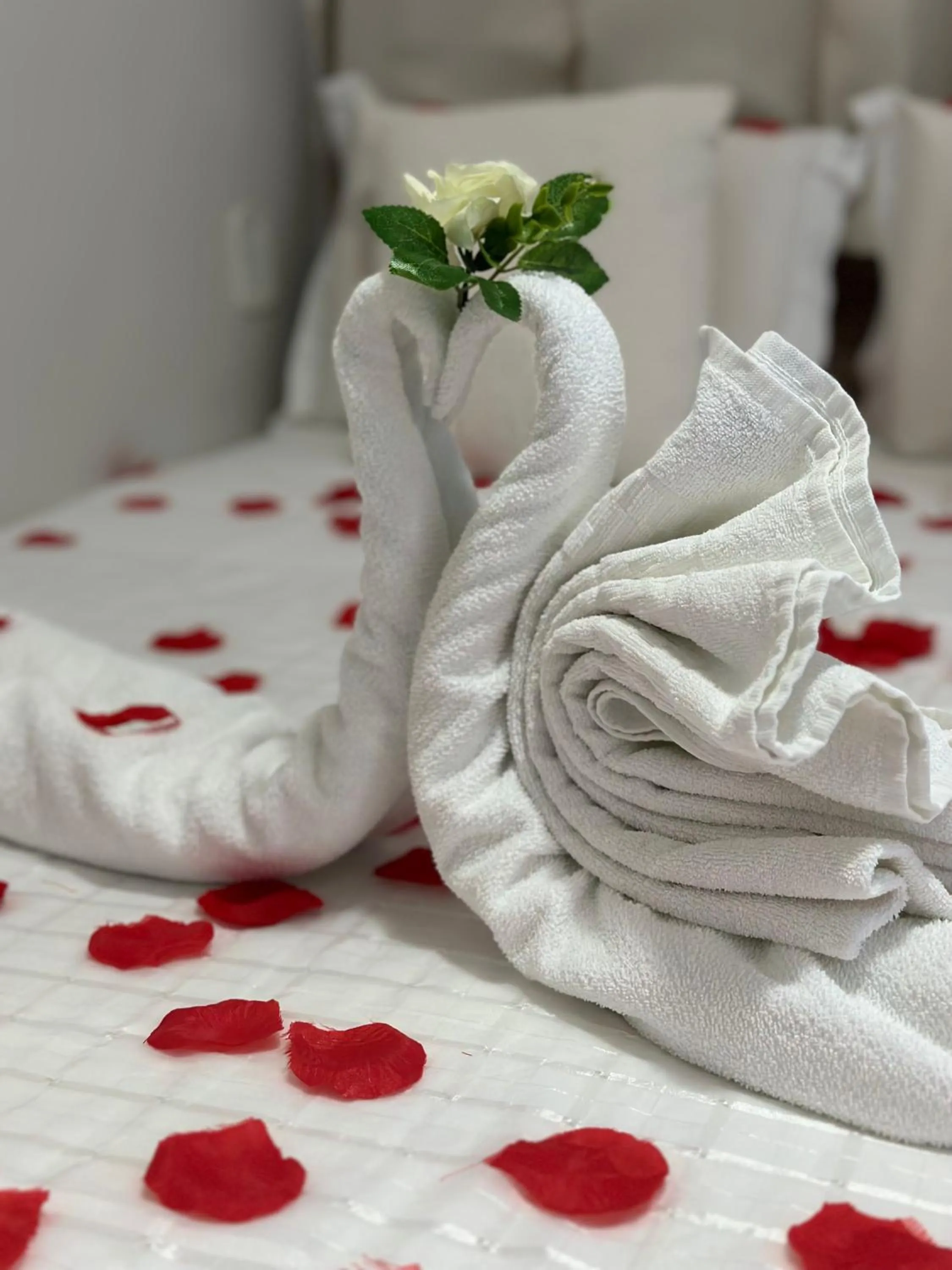 Decorative detail, Bed in Pousada Capital das Águas