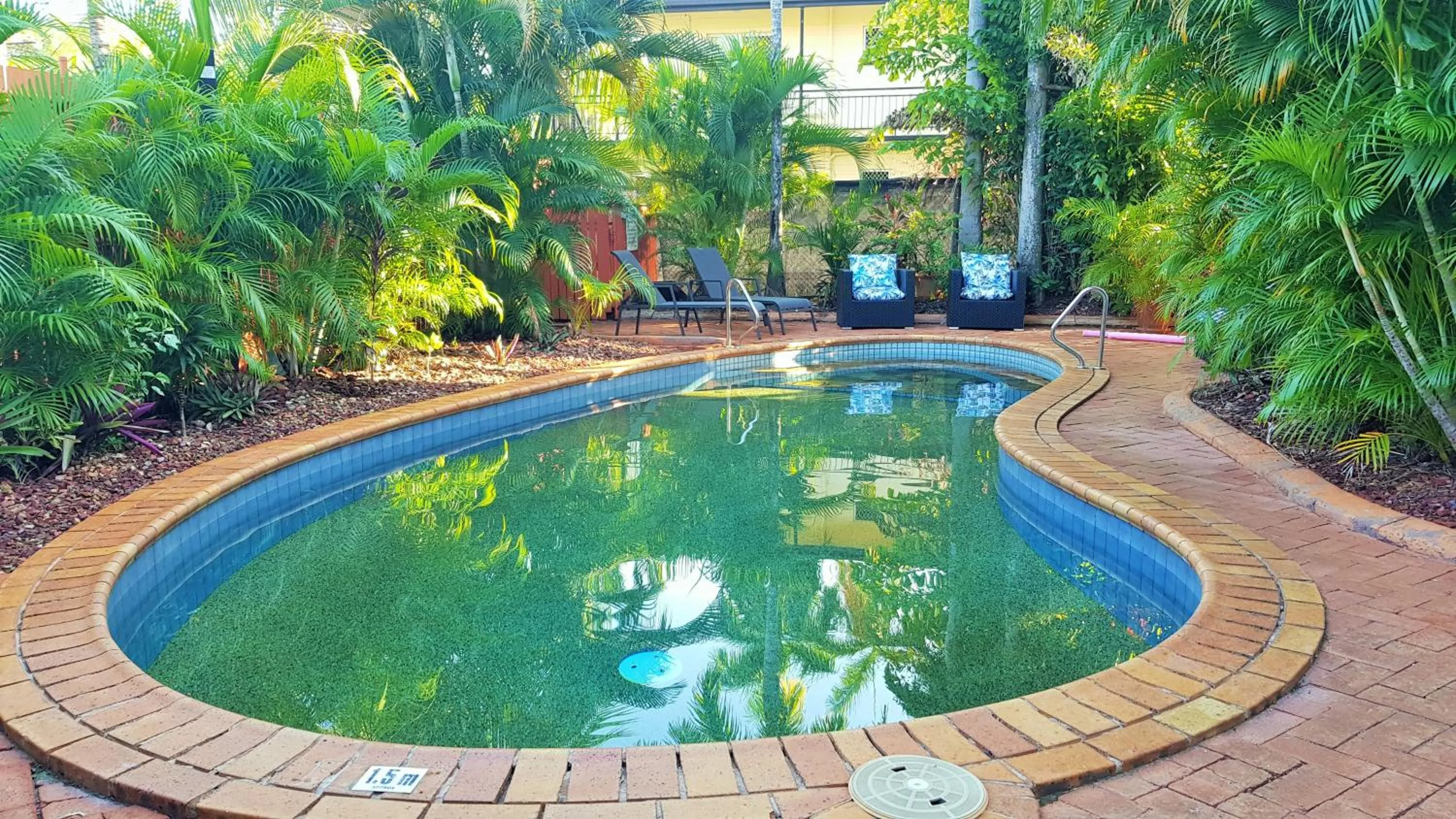 Swimming pool in Coconut Grove Holiday Apartments