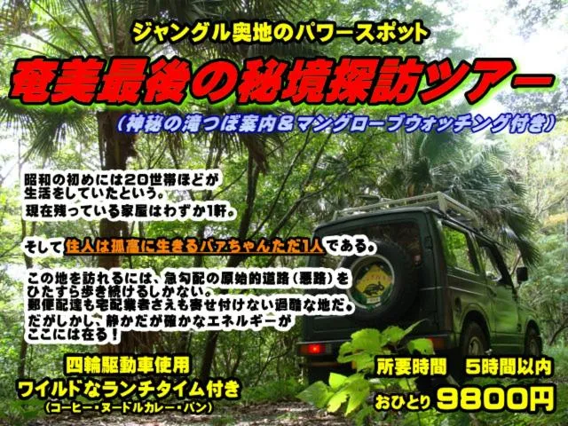 Activities in Amami Guest House showa-so