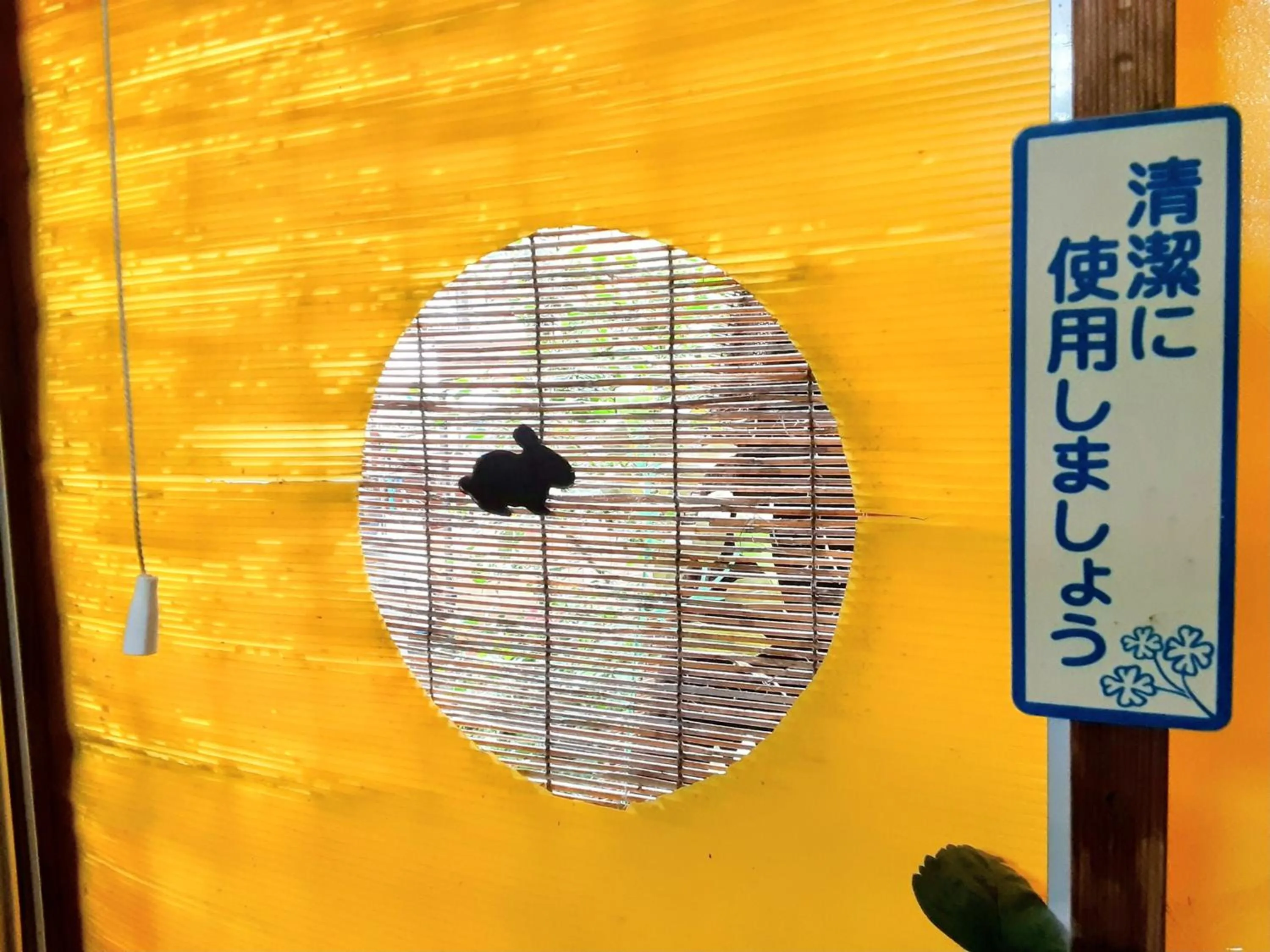 Communal lounge/ TV room in Amami Guest House showa-so