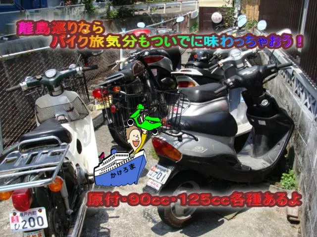 Activities in Amami Guest House showa-so