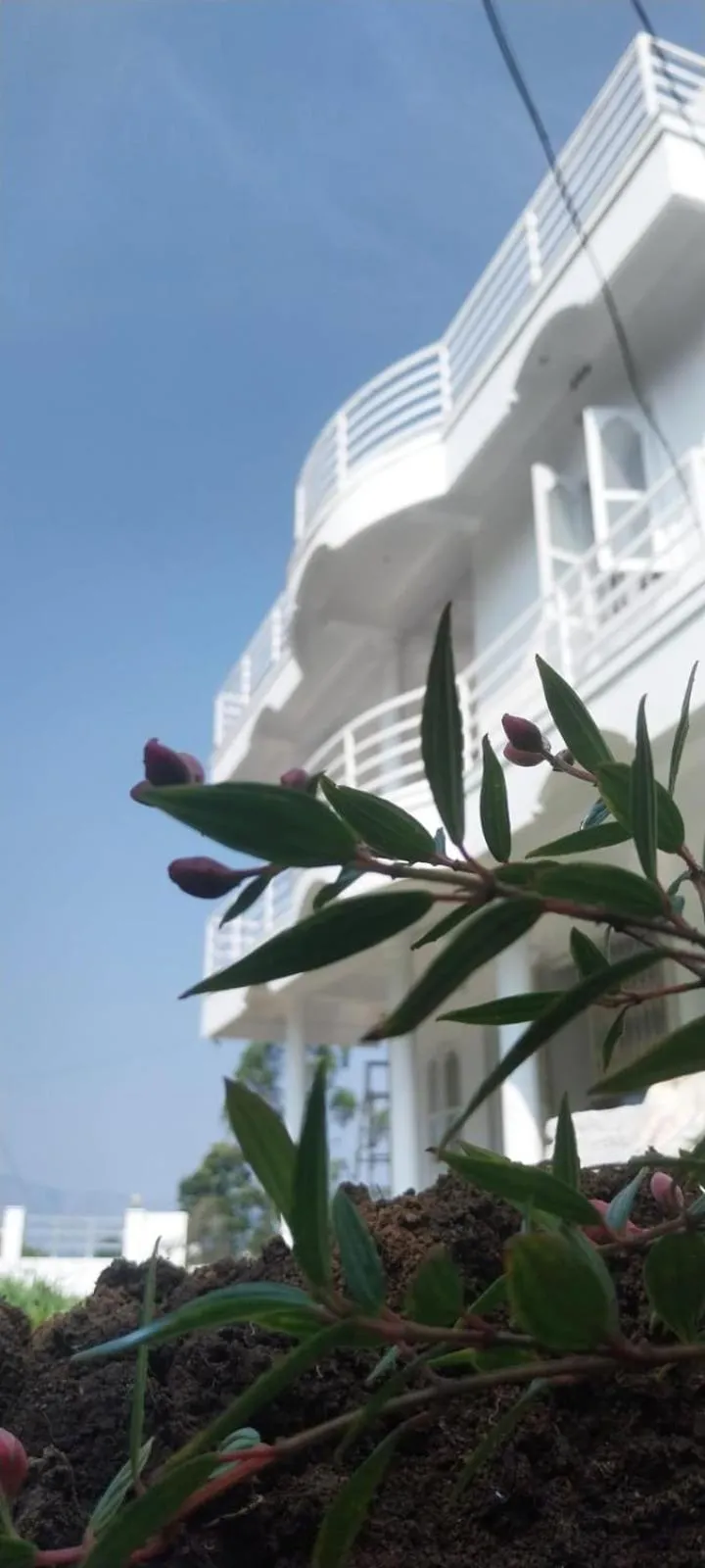 Kanthalloor Homestay Snow White Holiday Homes