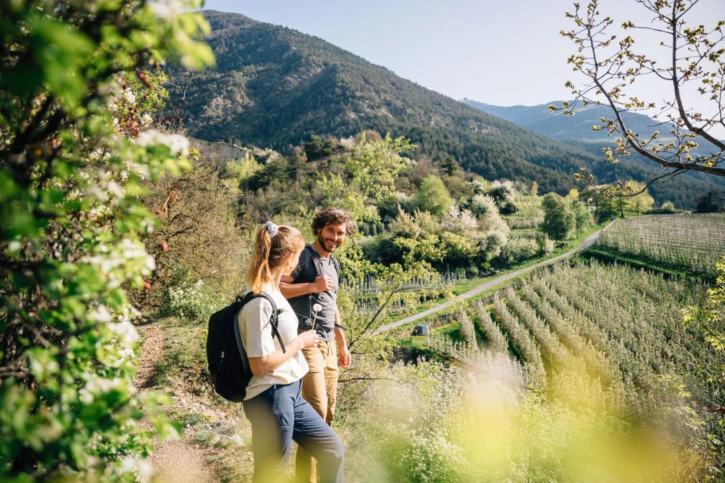 Activities in Residence Montani