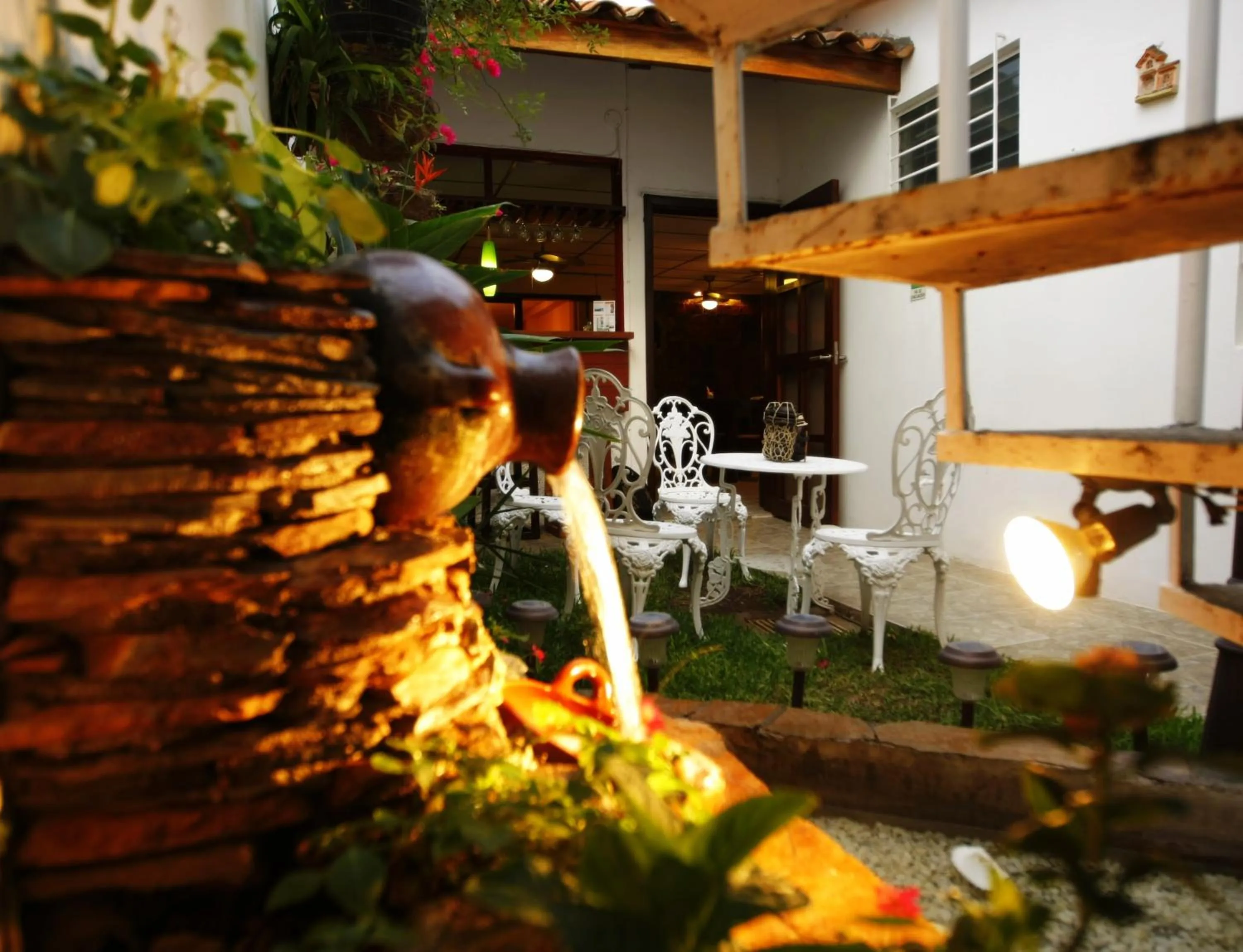 Garden in Hotel Tazumal House