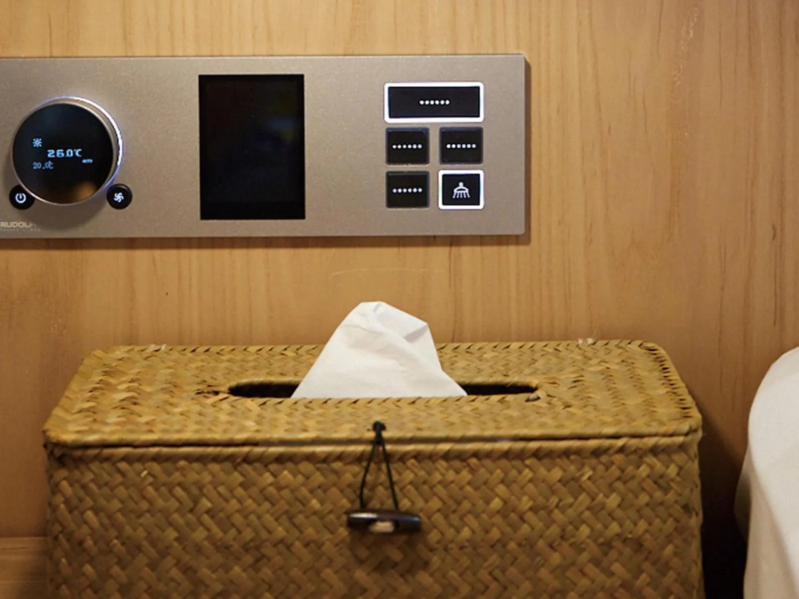 Decorative detail in EBO Hotel Hangzhou Wulin - 5 mins drive to the West Lake