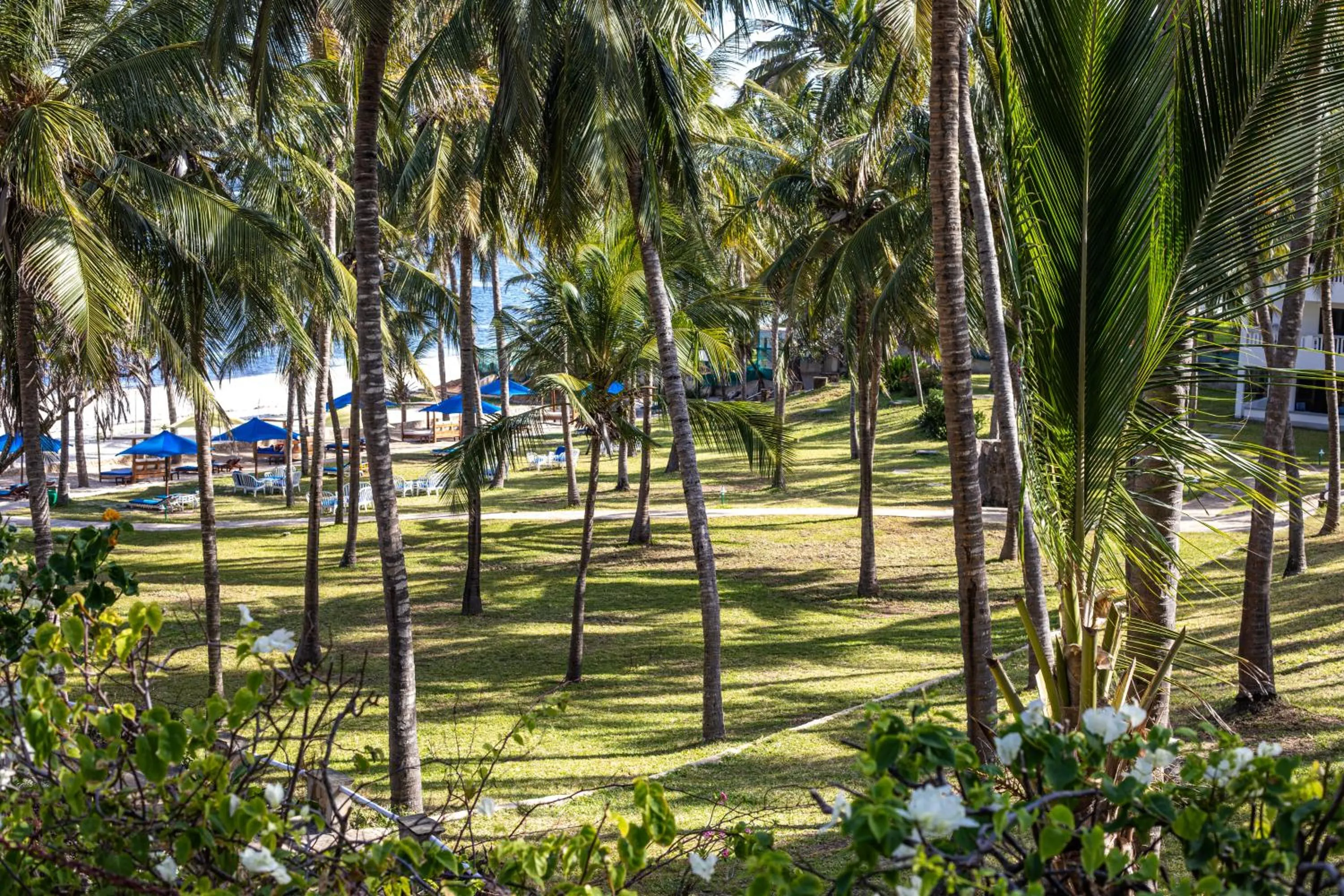 Spring in PrideInn Flamingo Beach Resort & Spa Mombasa