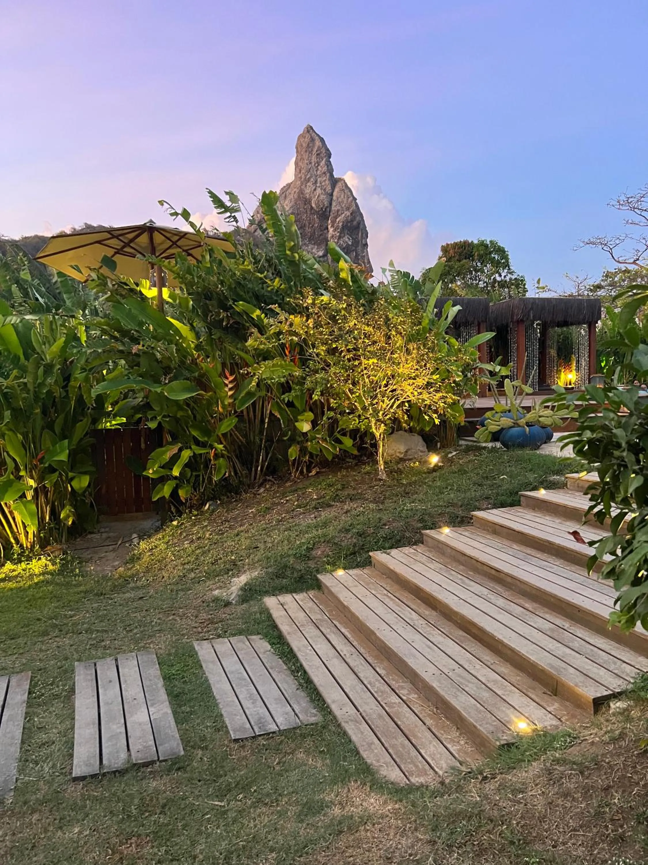 Garden in Dolphin Hotel