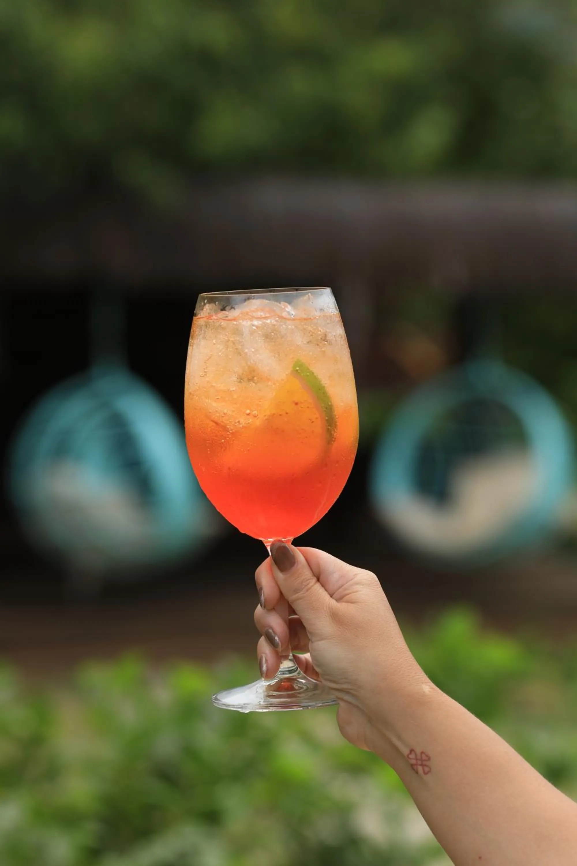 Garden in Dolphin Hotel