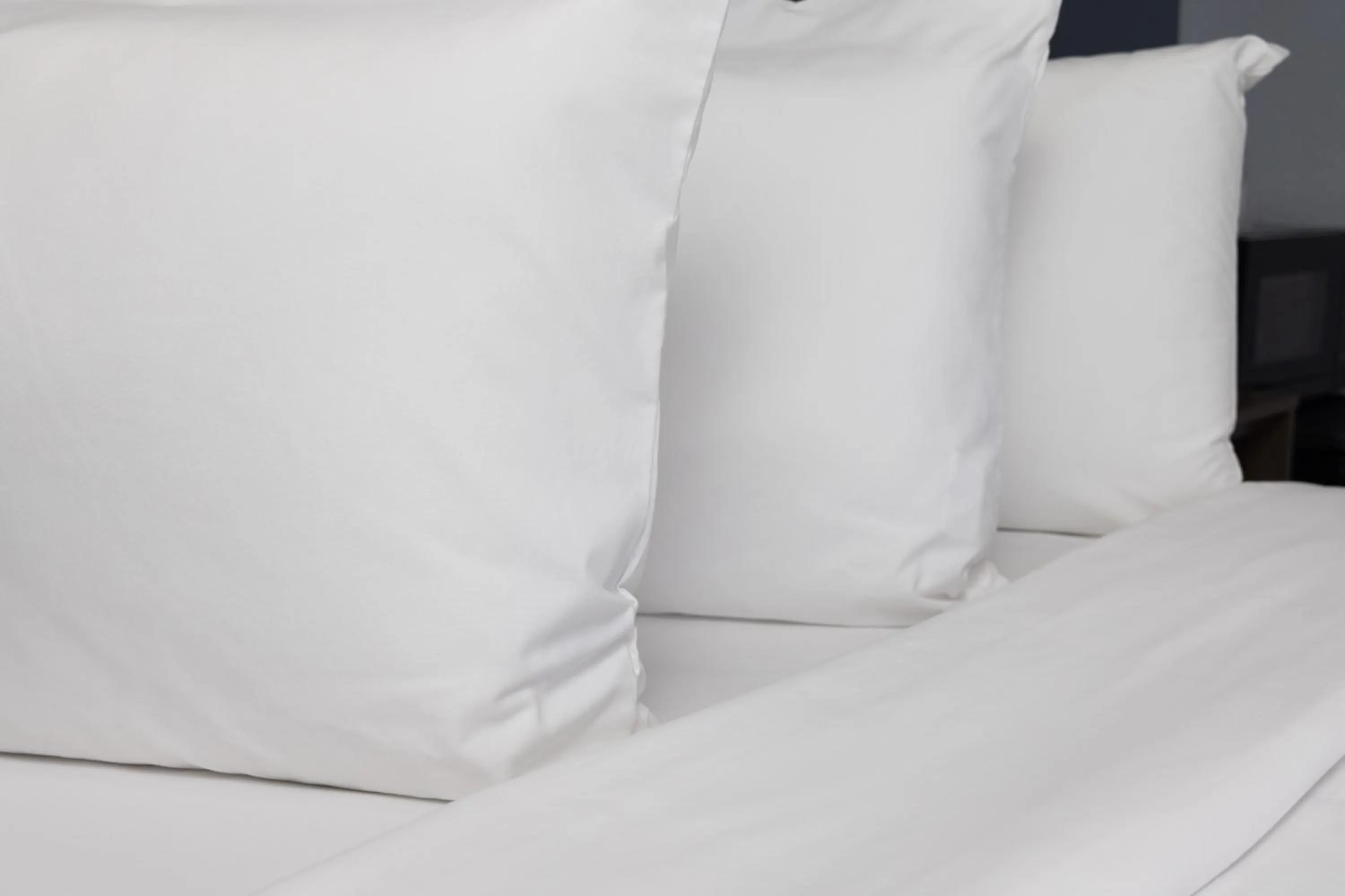 Bed in Days Inn by Wyndham Arroyo Grande Pismo Beach