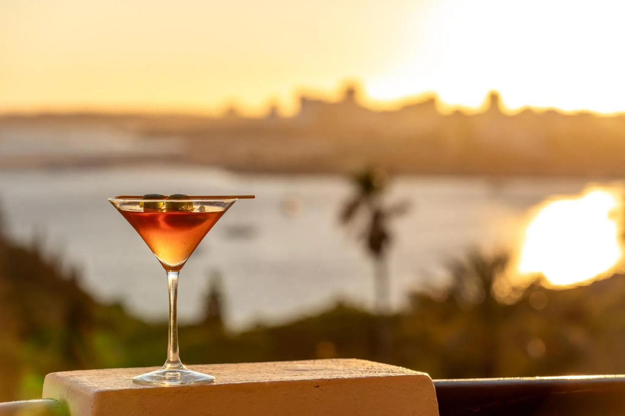 Lounge or bar in Hotel Casabela