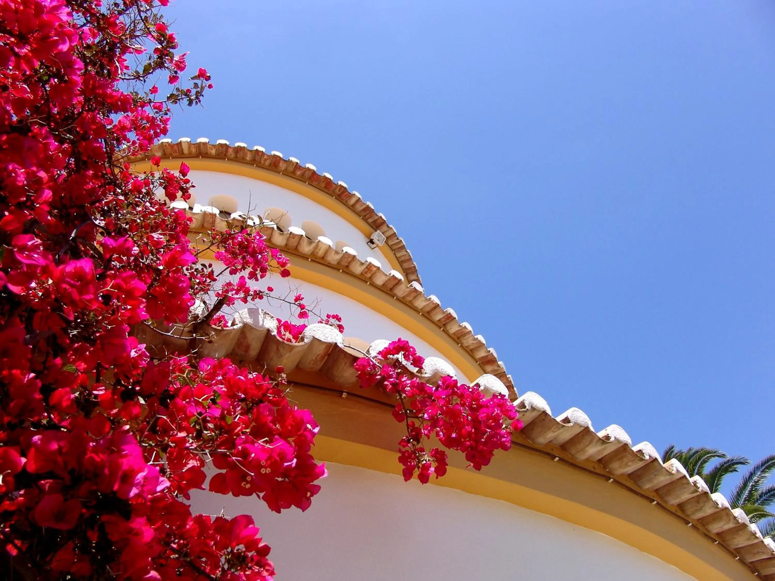 Garden view in Hotel Casabela