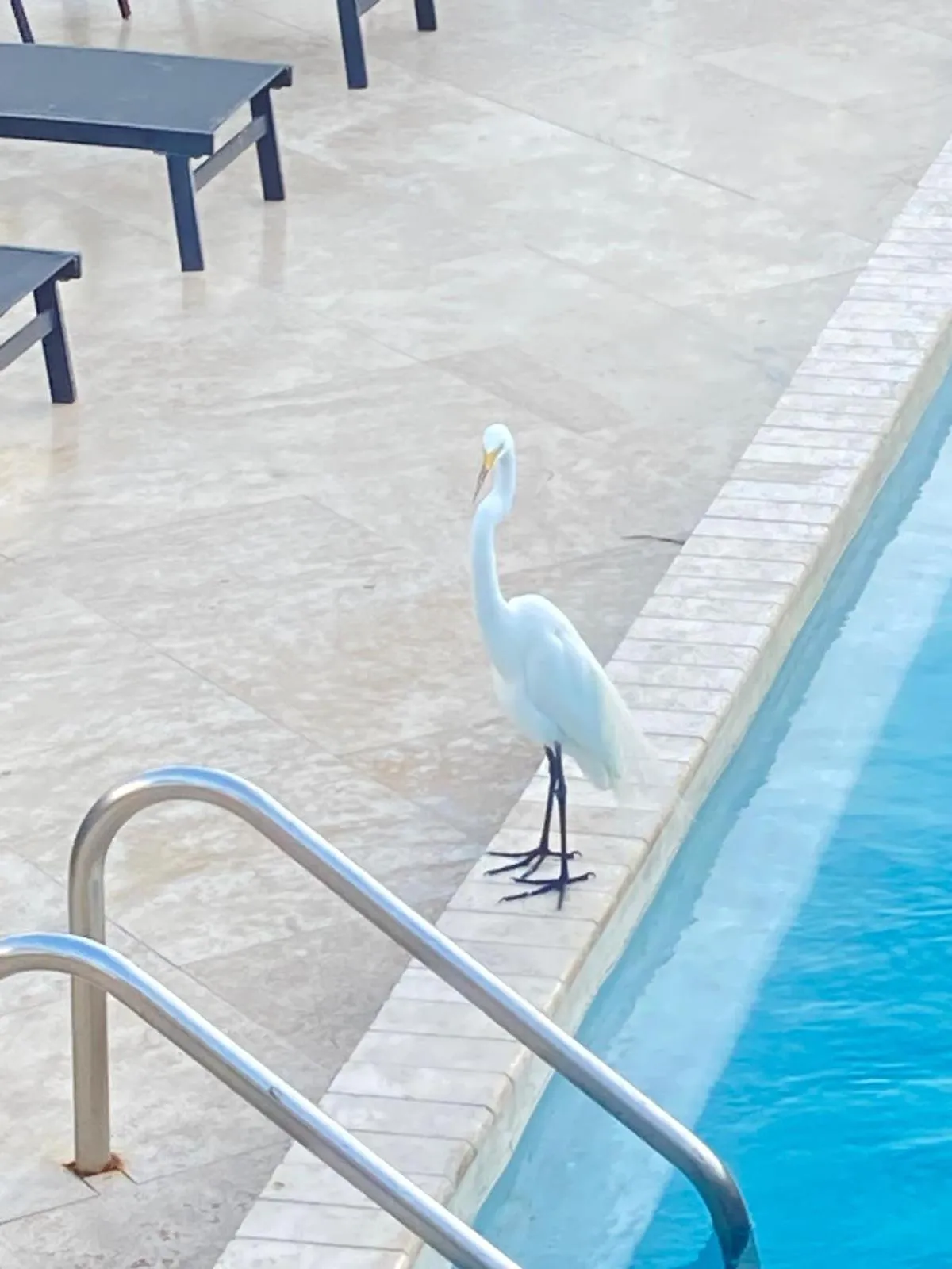 Holiday Isles Resort