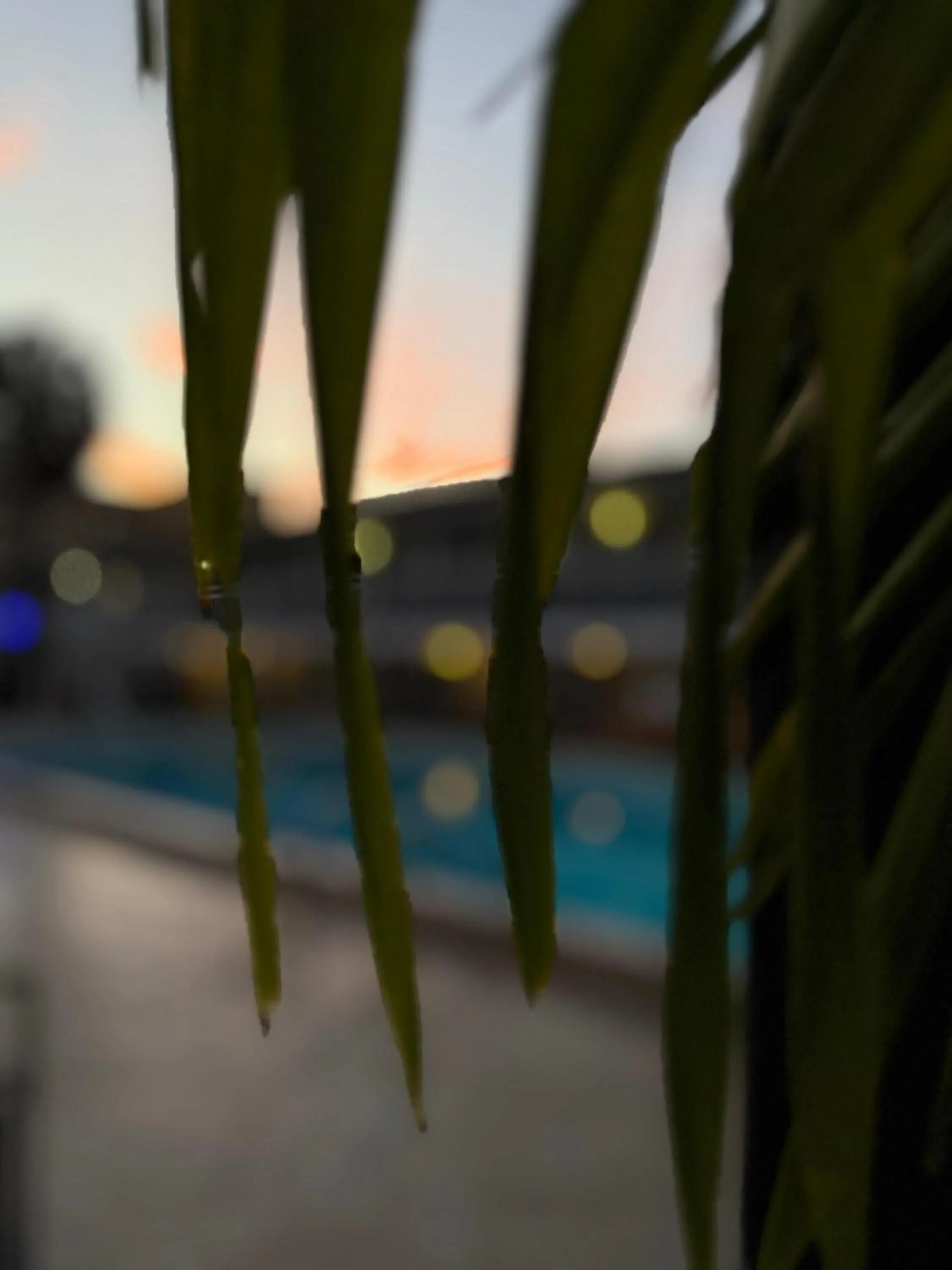 Holiday Isles Resort