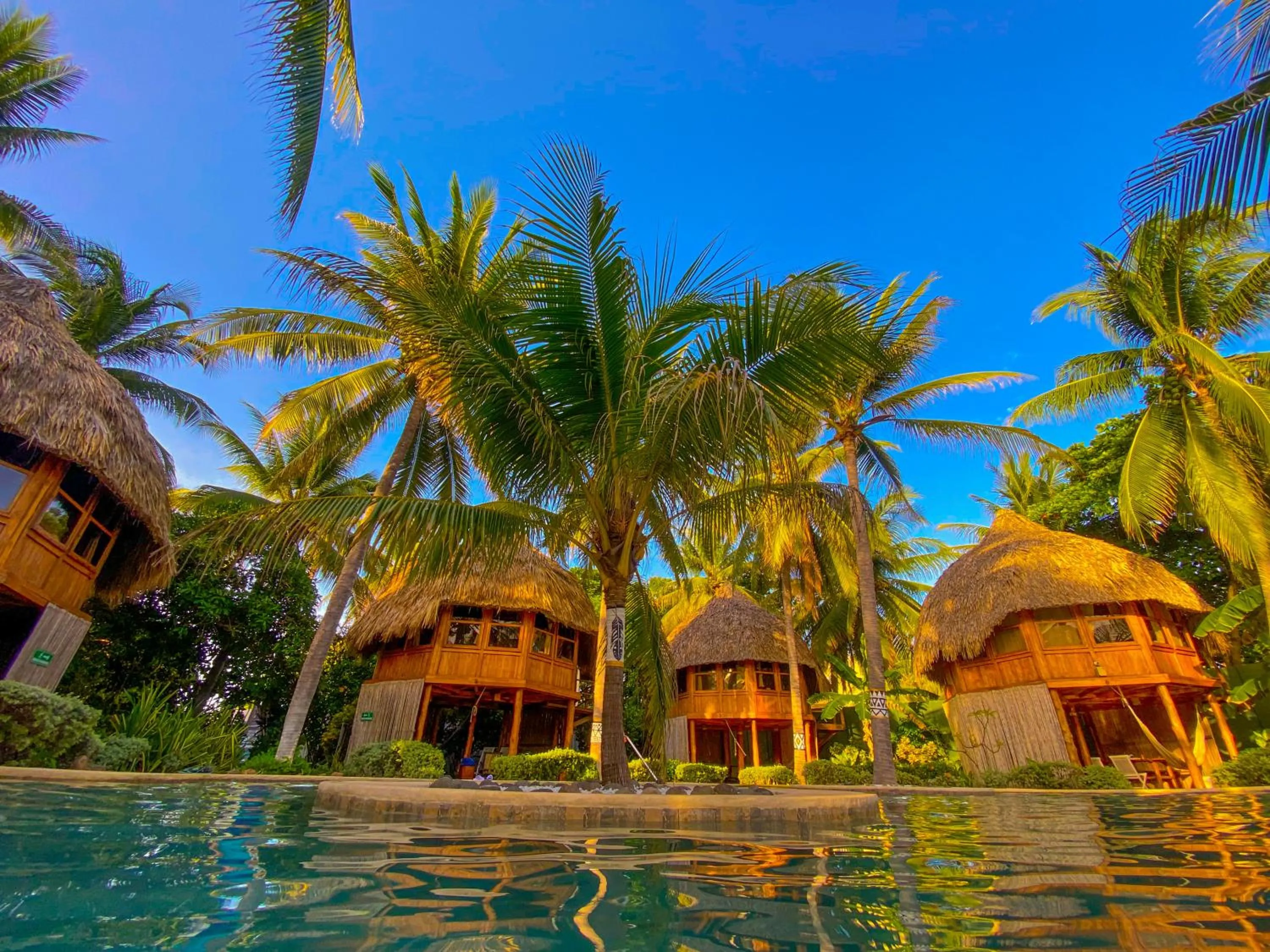 Pool view in Hotel Tortuga Village