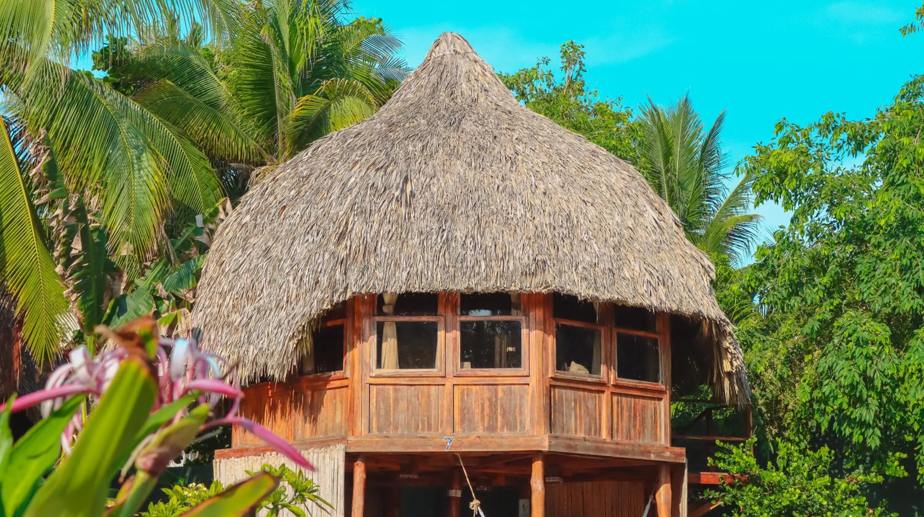 Garden view in Hotel Tortuga Village