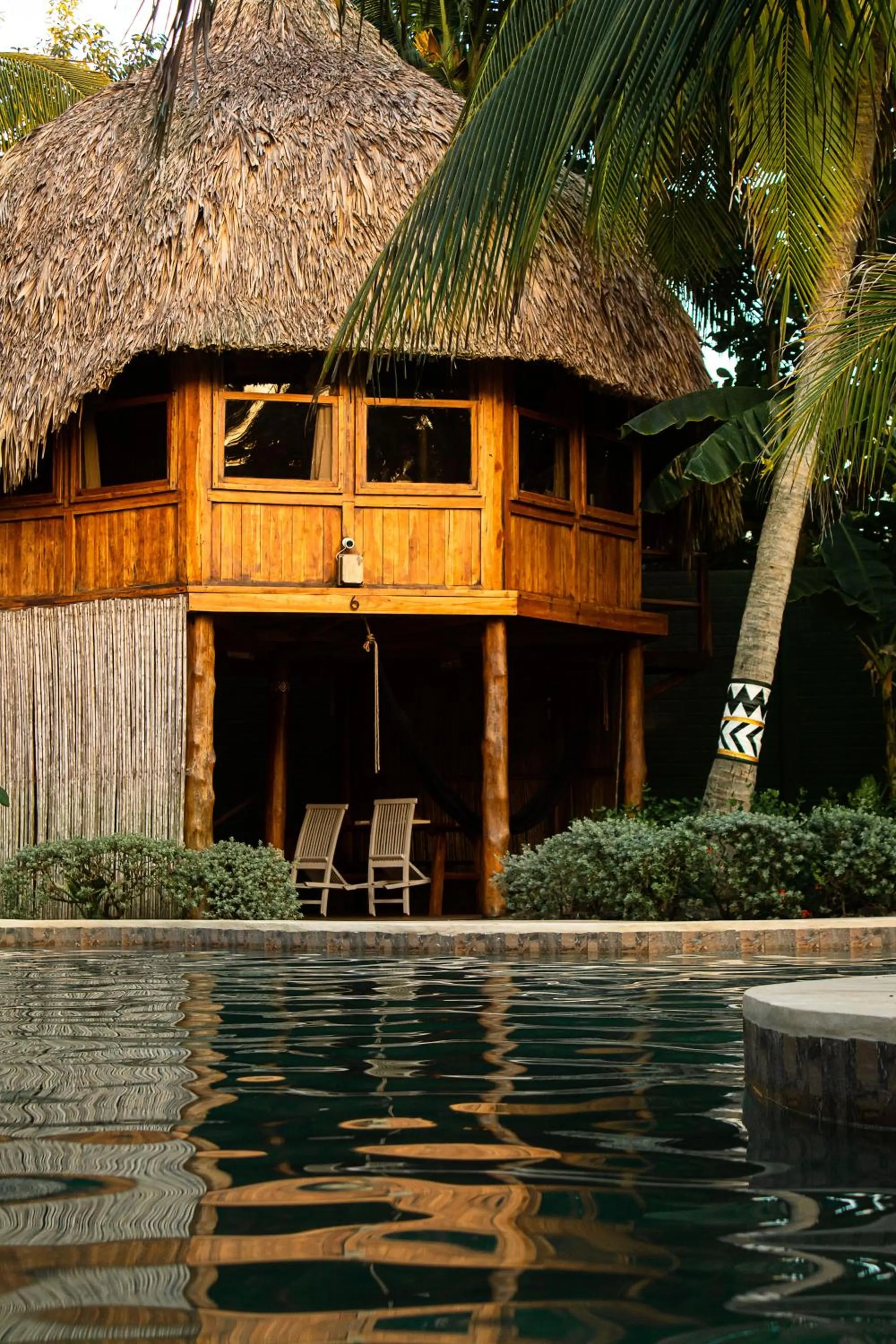 Garden in Hotel Tortuga Village