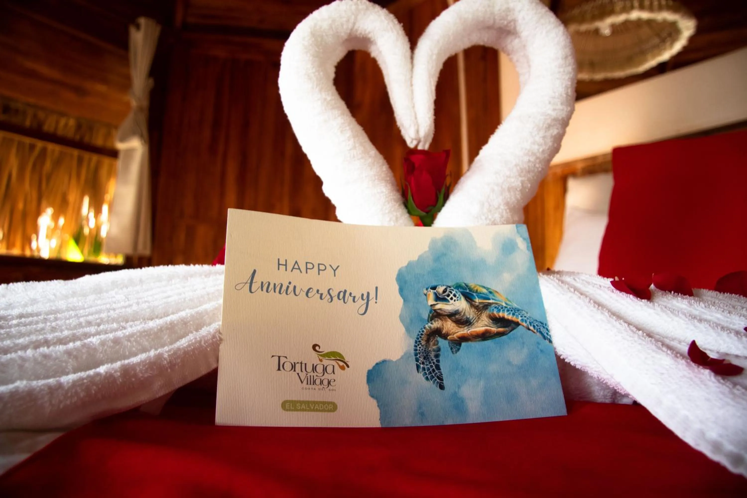 Certificate/Award, Bed in Hotel Tortuga Village