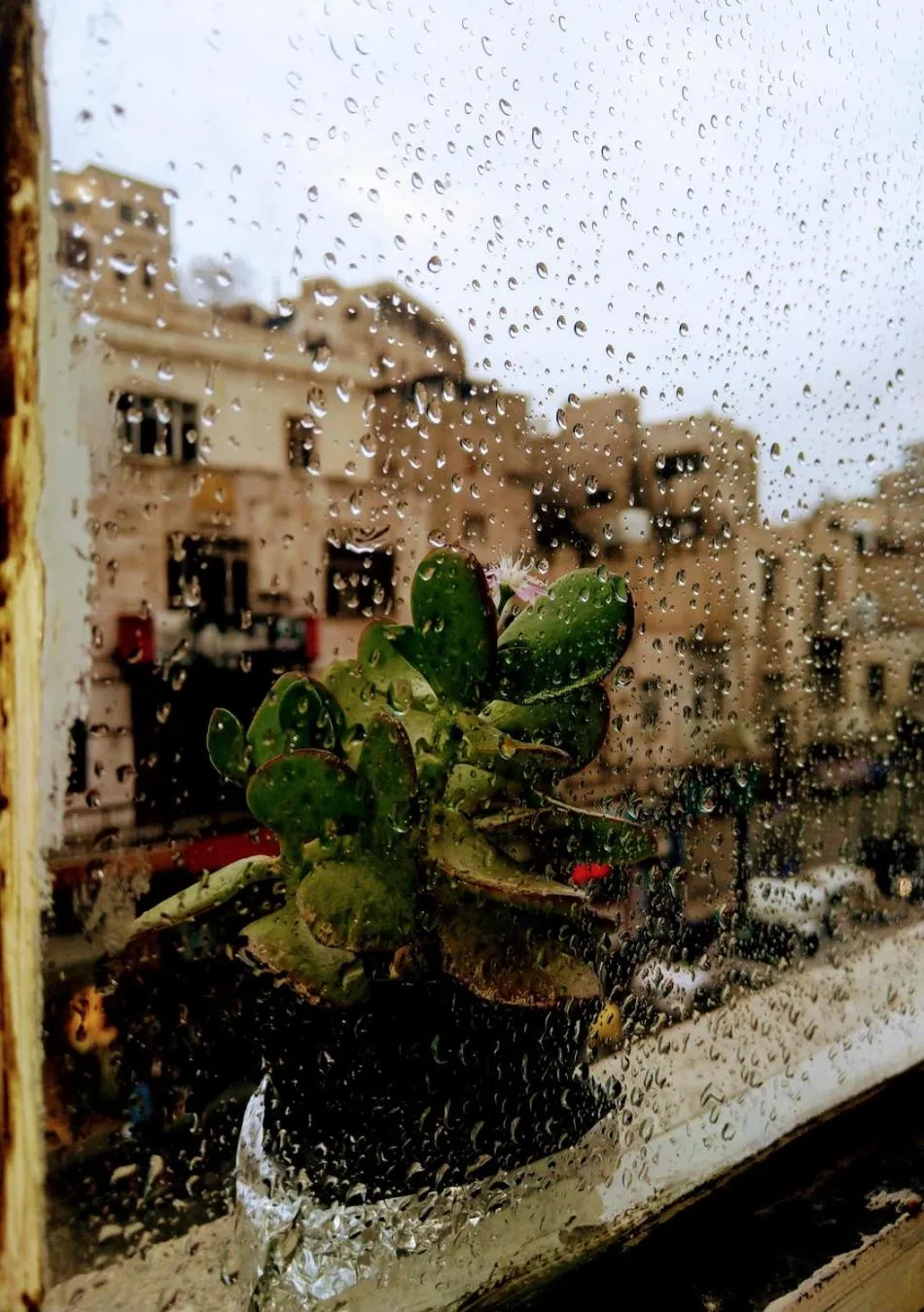 Balcony/Terrace in The Boutique Hotel Amman