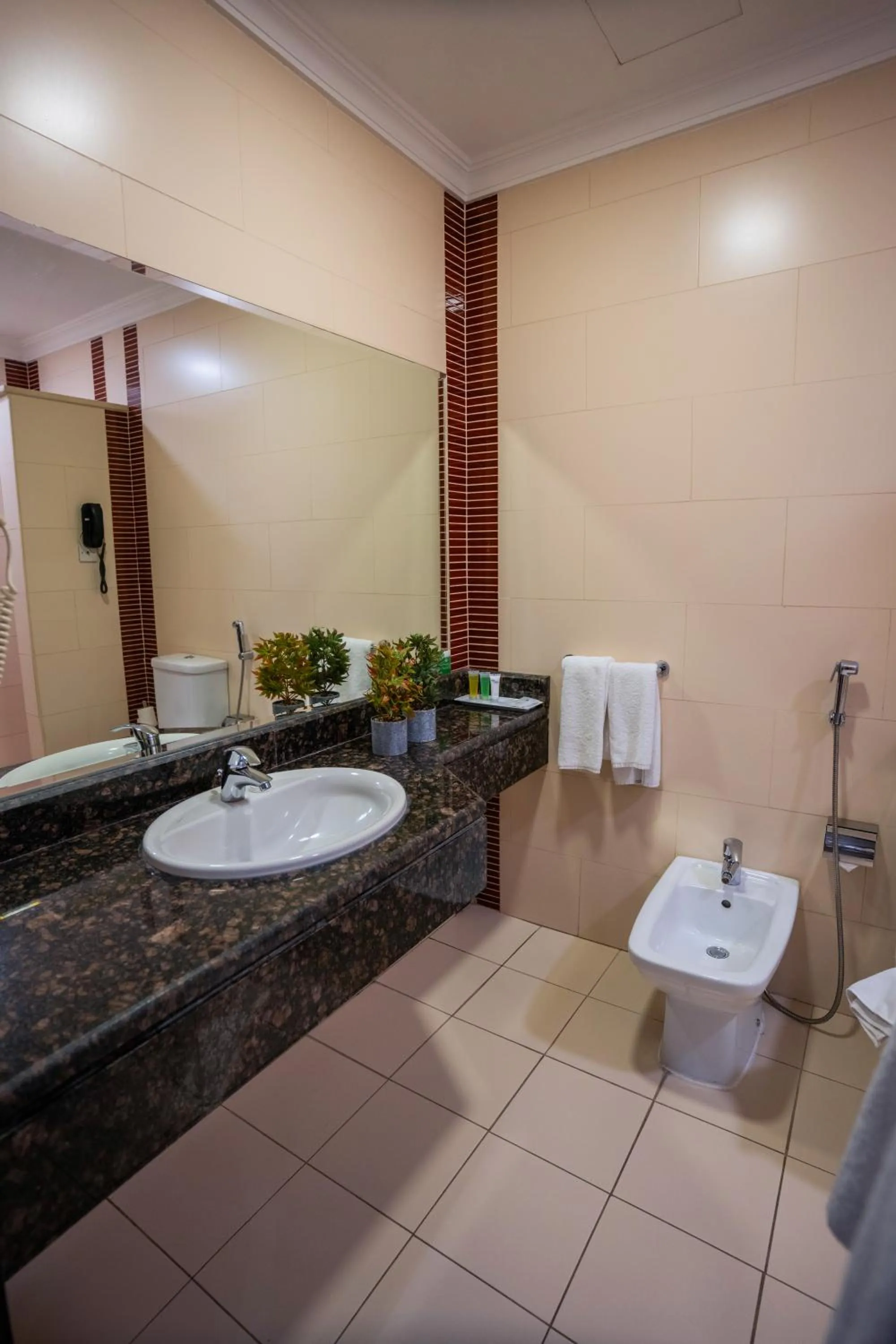 Toilet in Ayass Hotel