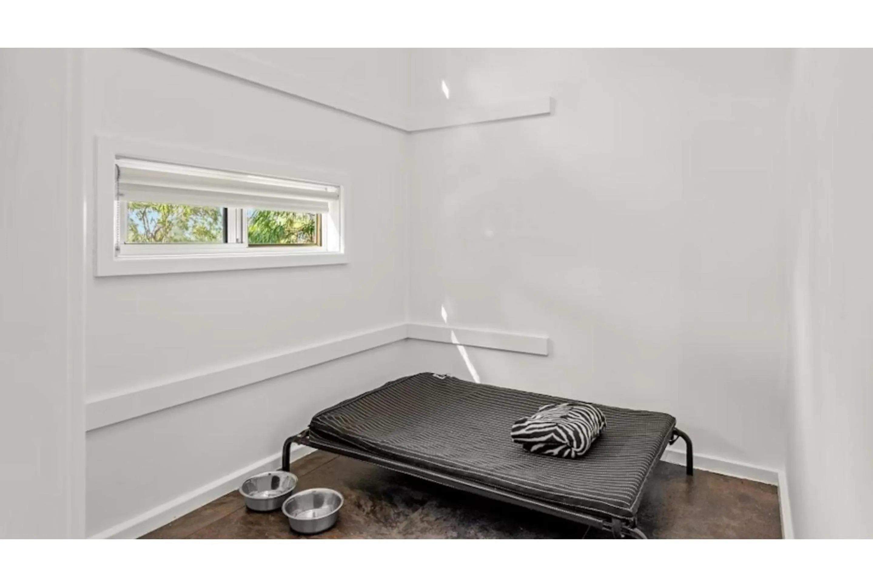 Pets in Discovery Parks - Woodman Point