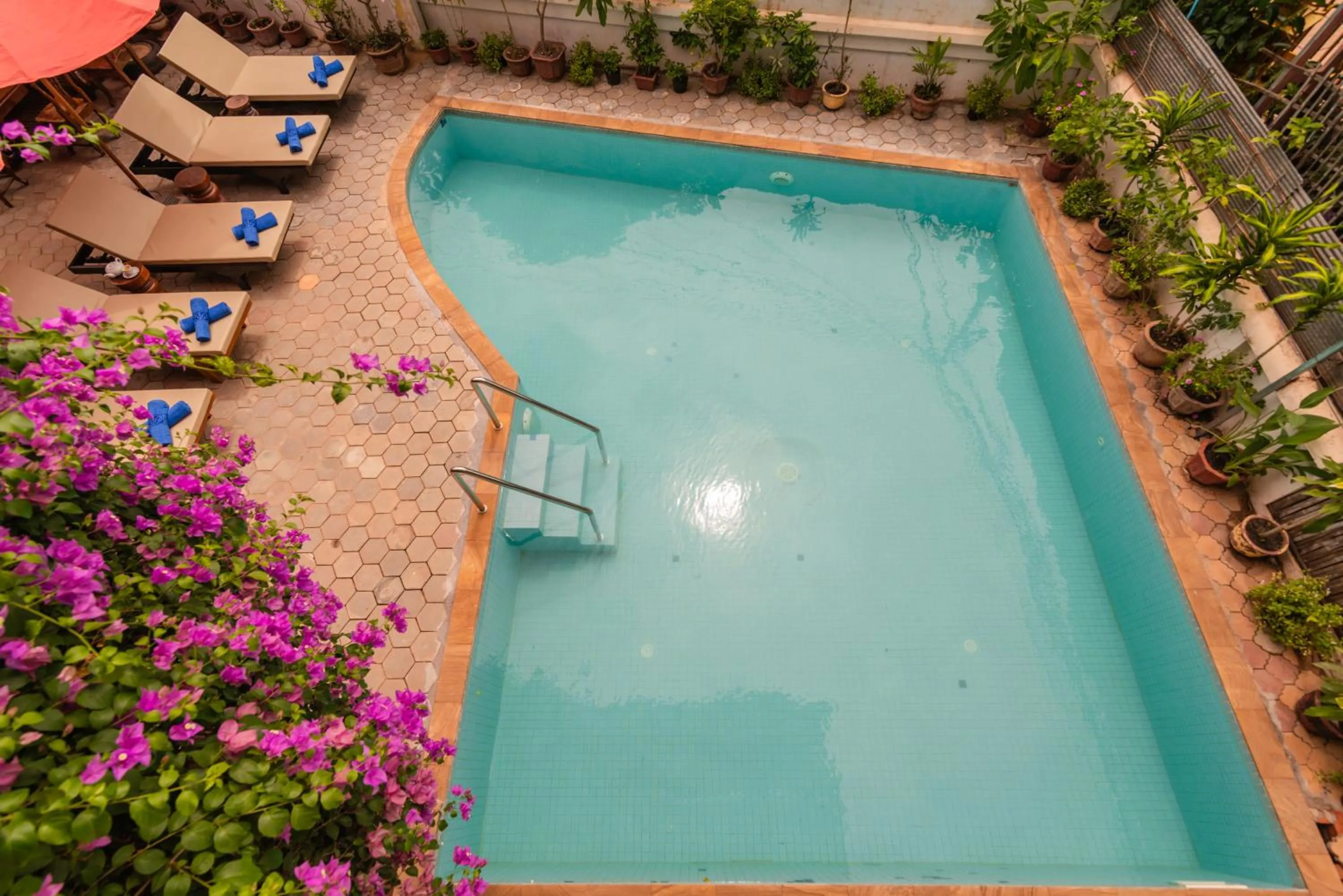 Swimming pool in Five Rose Siem Reap Hostel