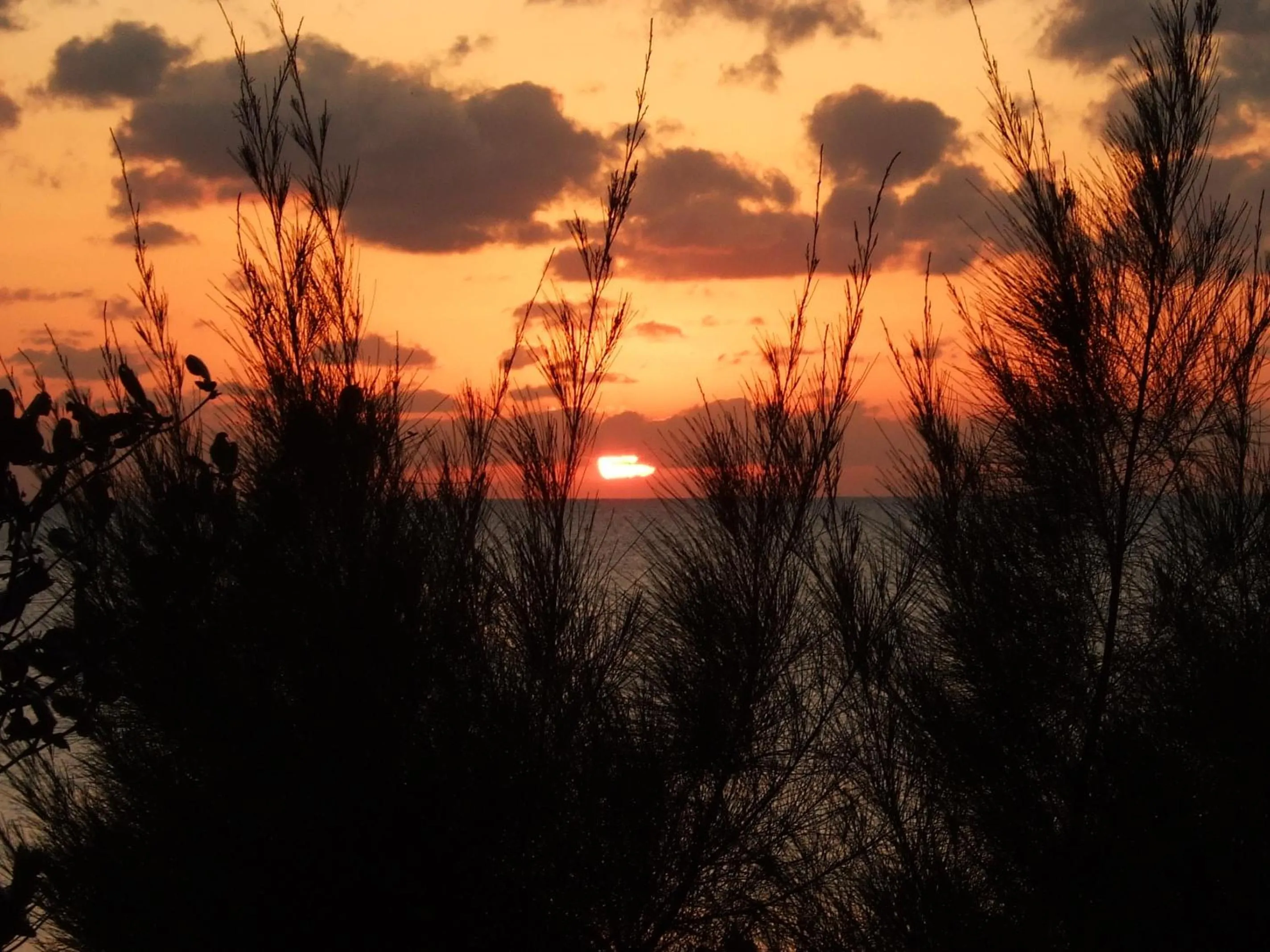 Sea view in Hotel & Restaurant On the Beach Lue