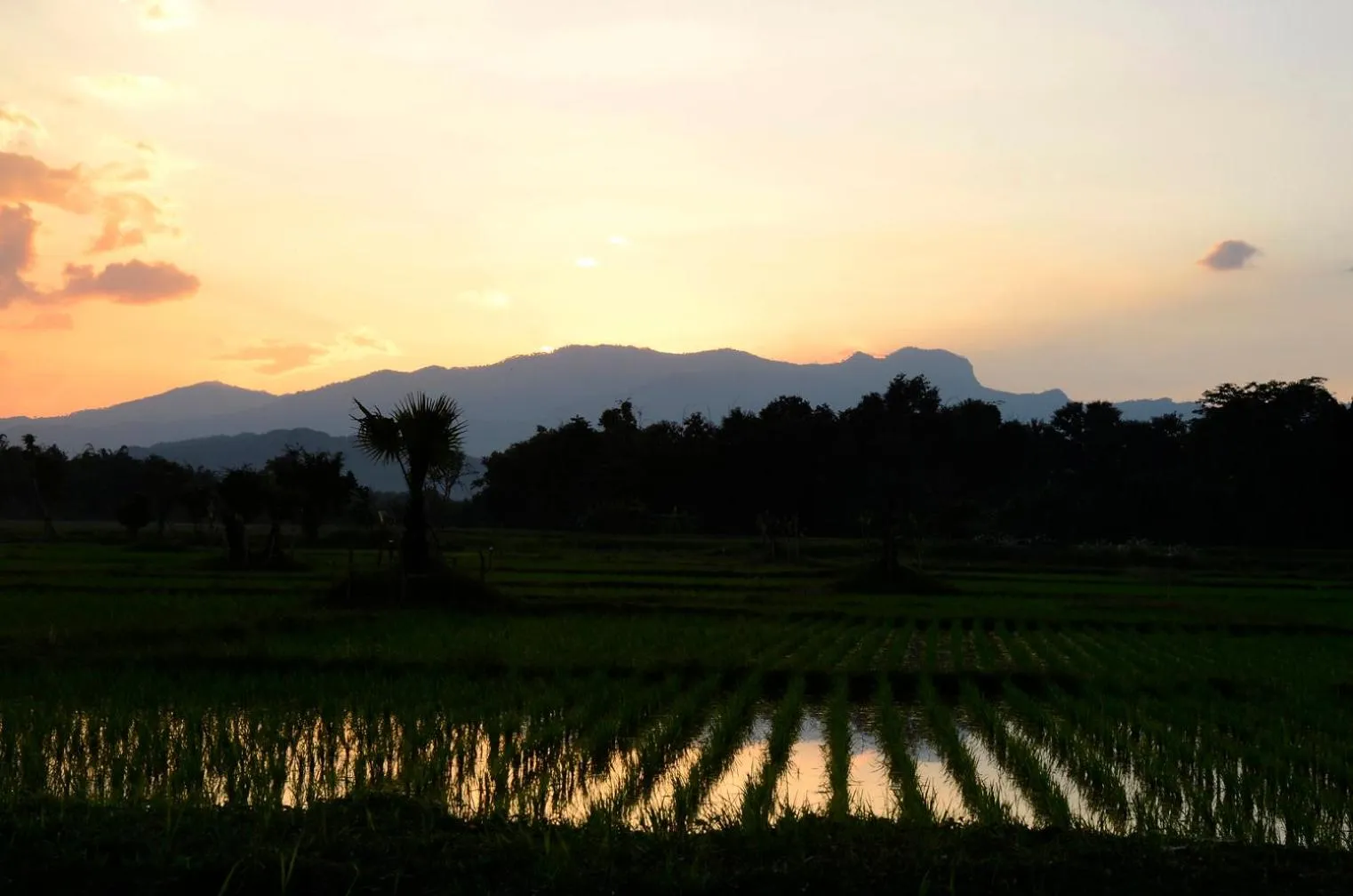 Mountain view in Pa Sak Tong