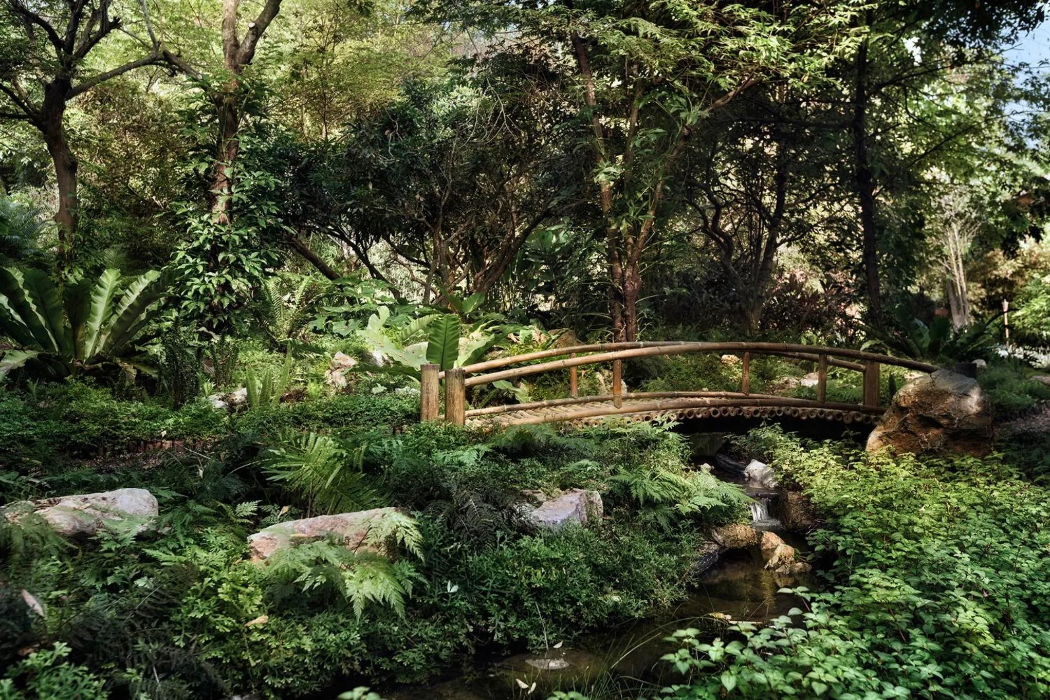 Garden in Pa Sak Tong