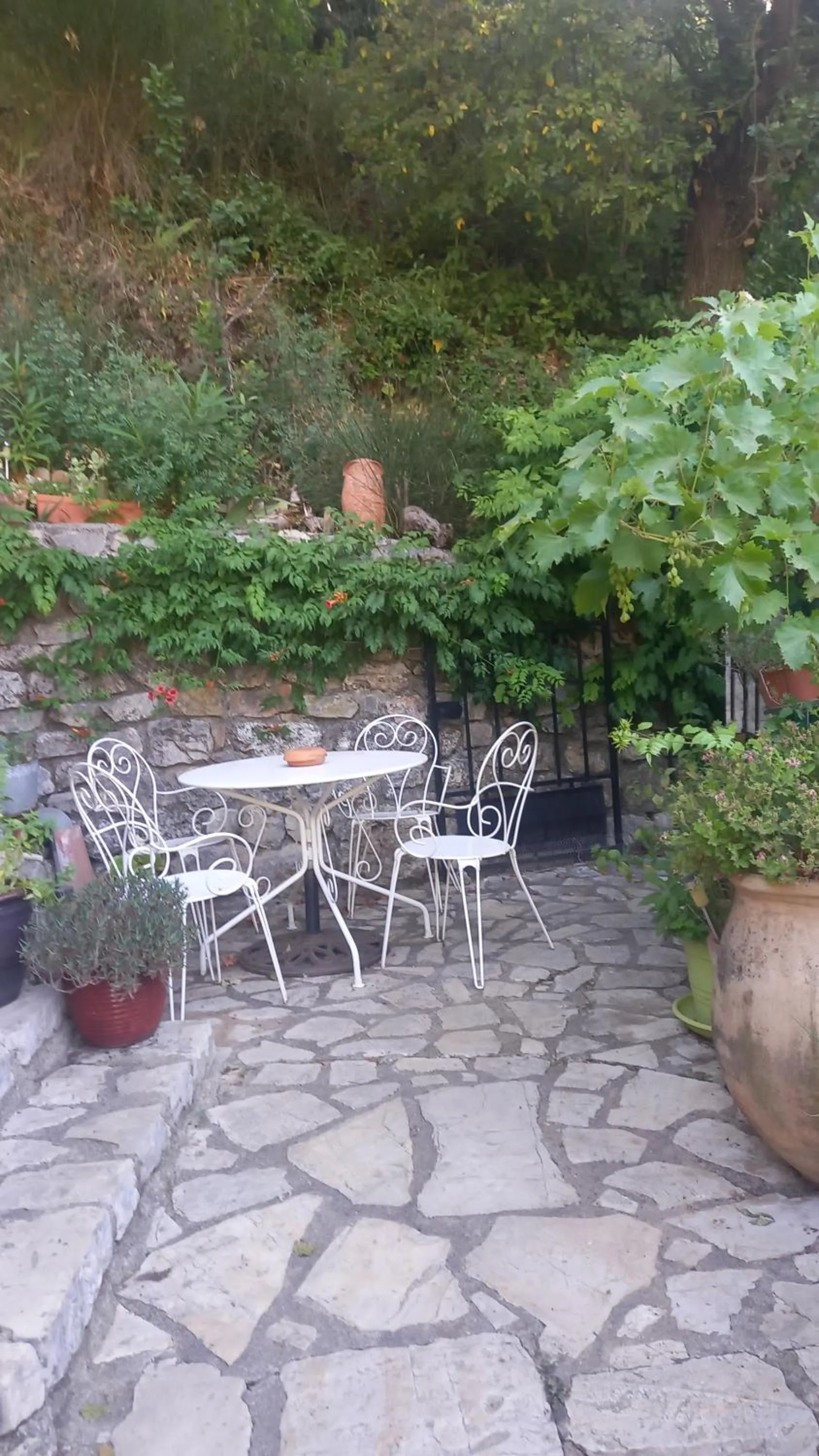 le vallon de bargemon
