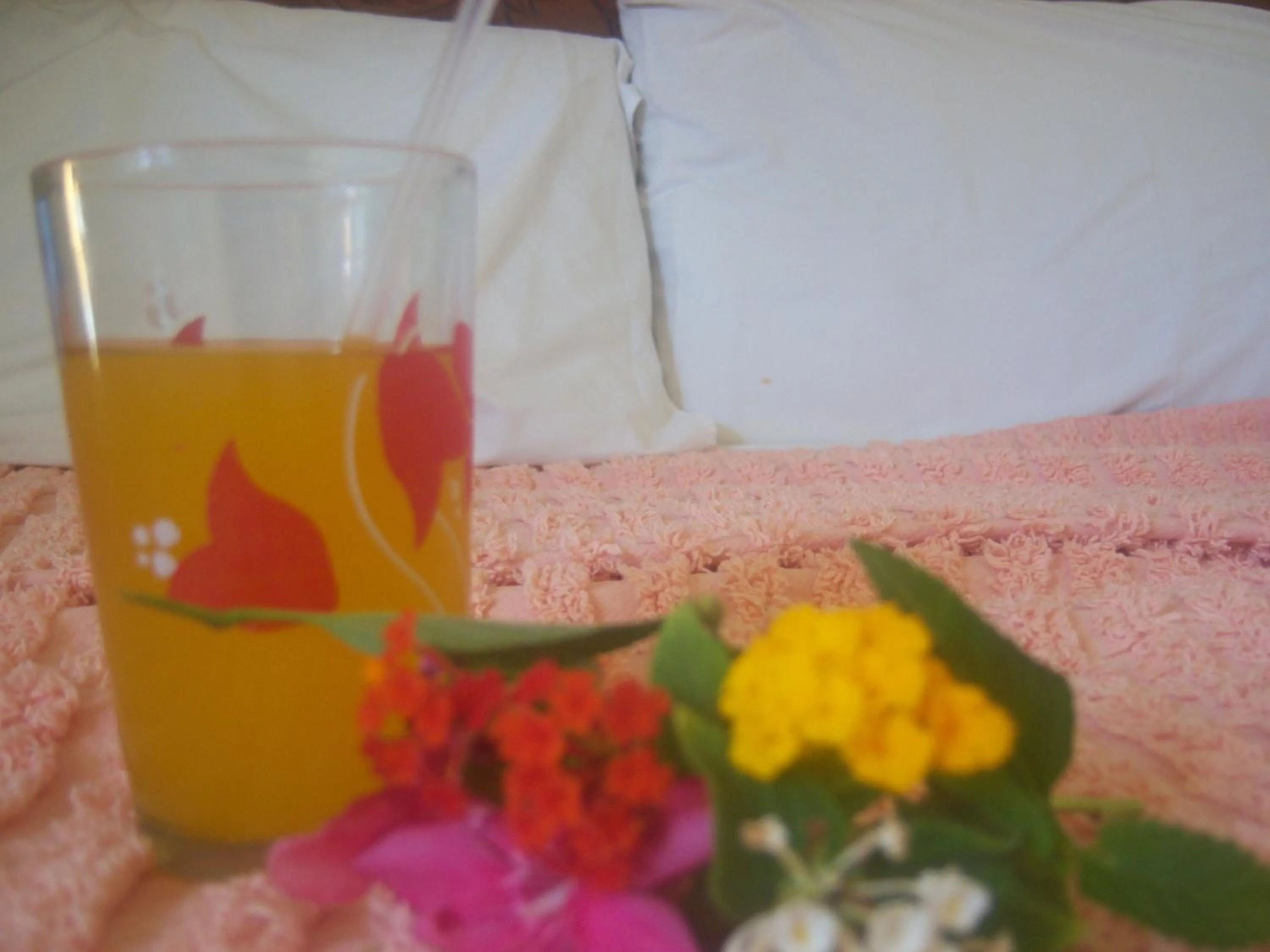 Drinks in Leinmach House Nyali