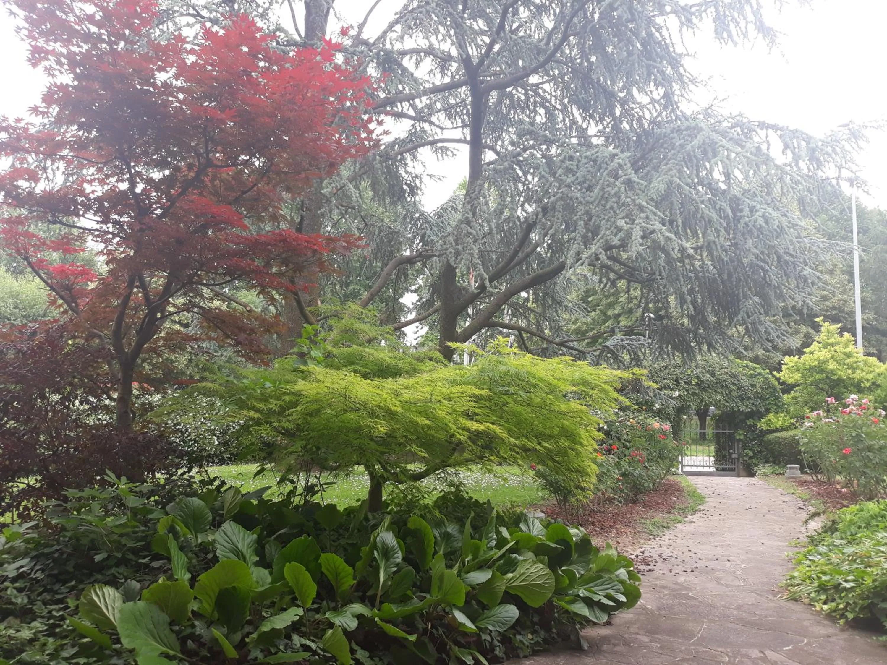 Garden in Villa Brama