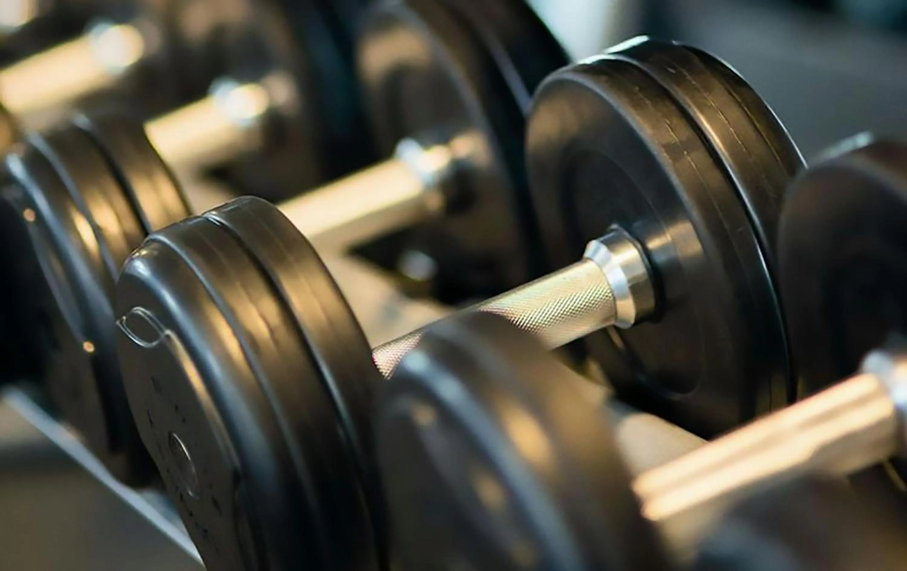 Fitness centre/facilities in Bergamo Inn 43