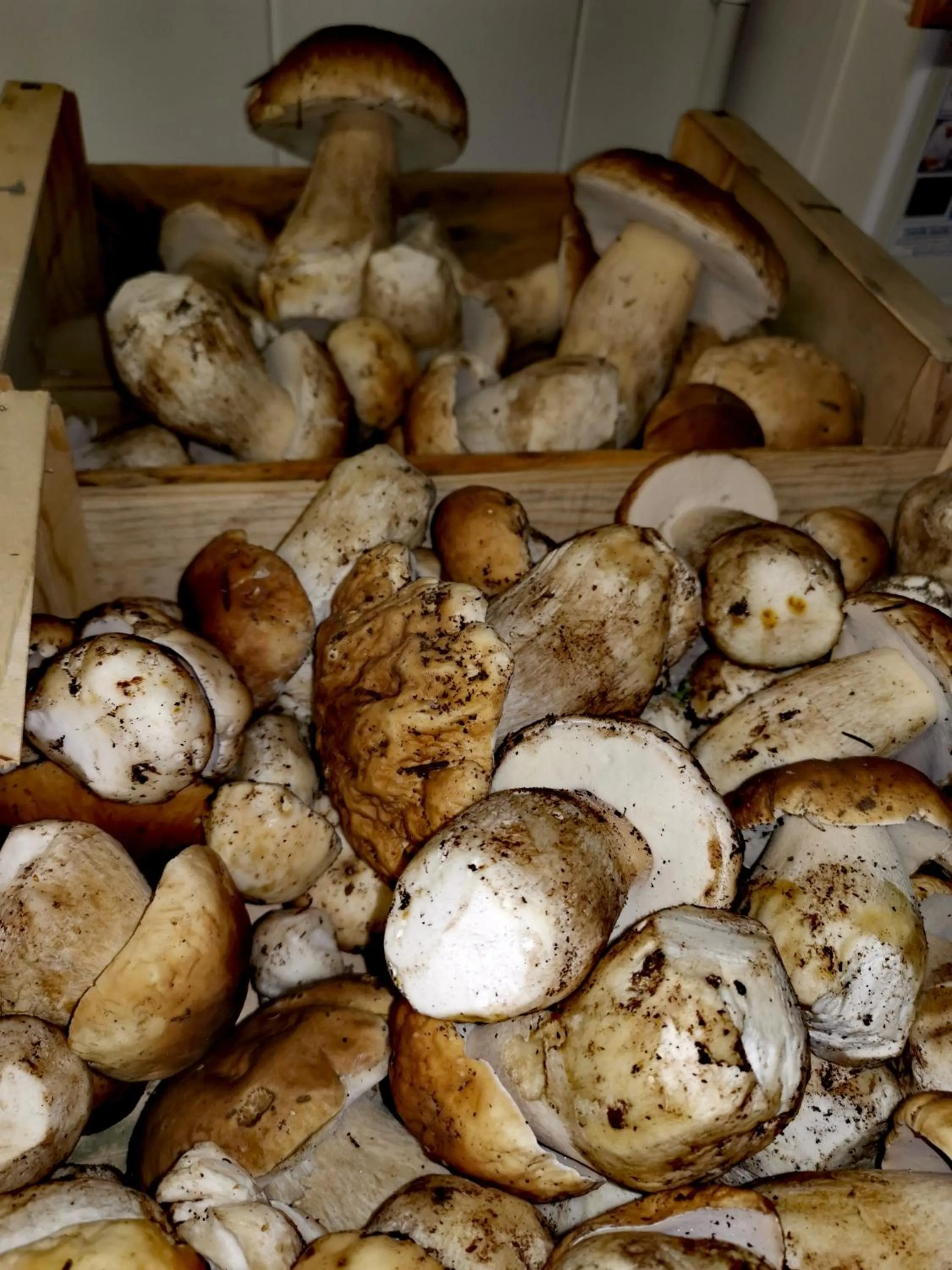 Restaurant/places to eat in Hôtel Rose des Vents