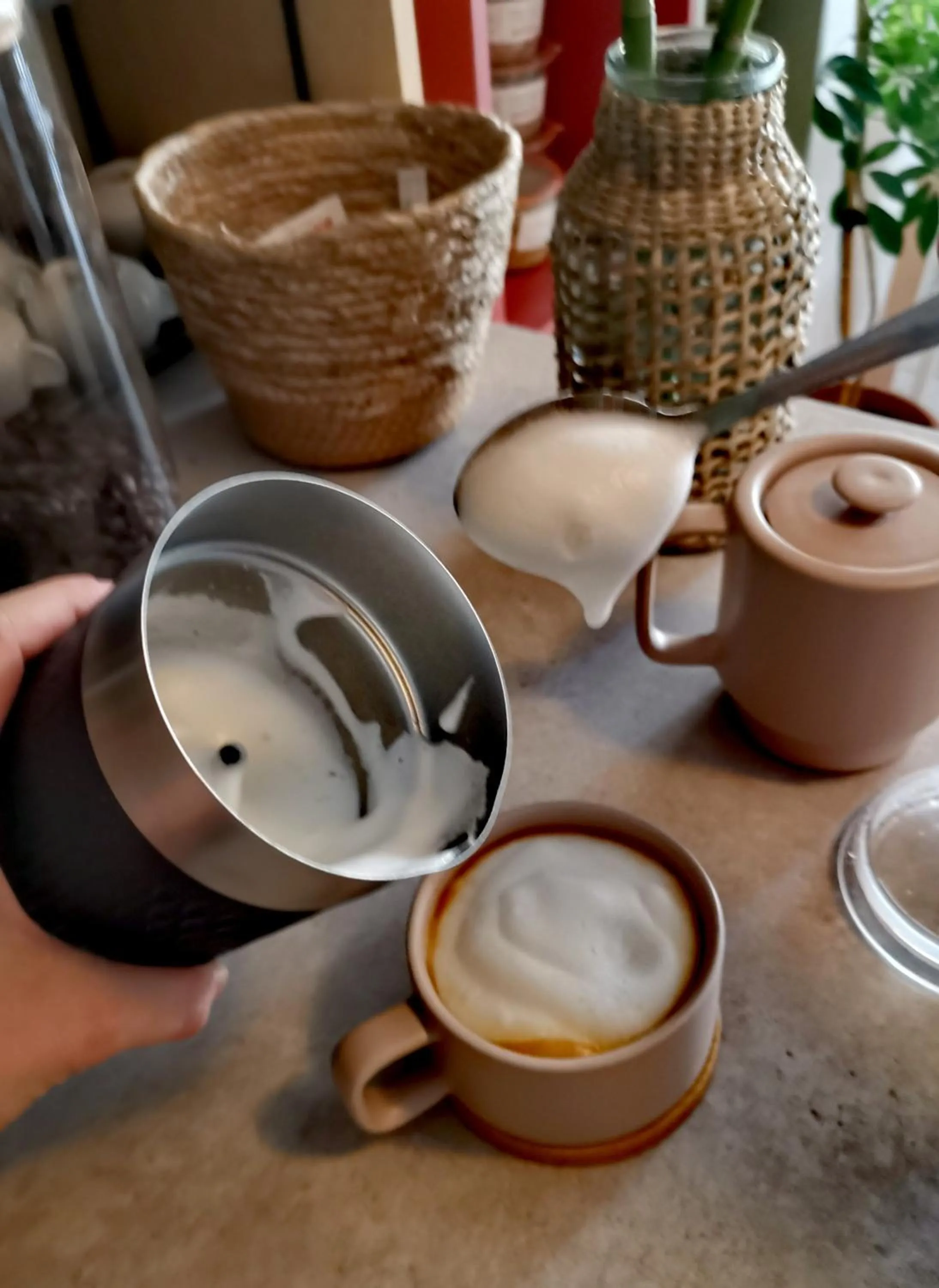 Lounge or bar in Hôtel Rose des Vents