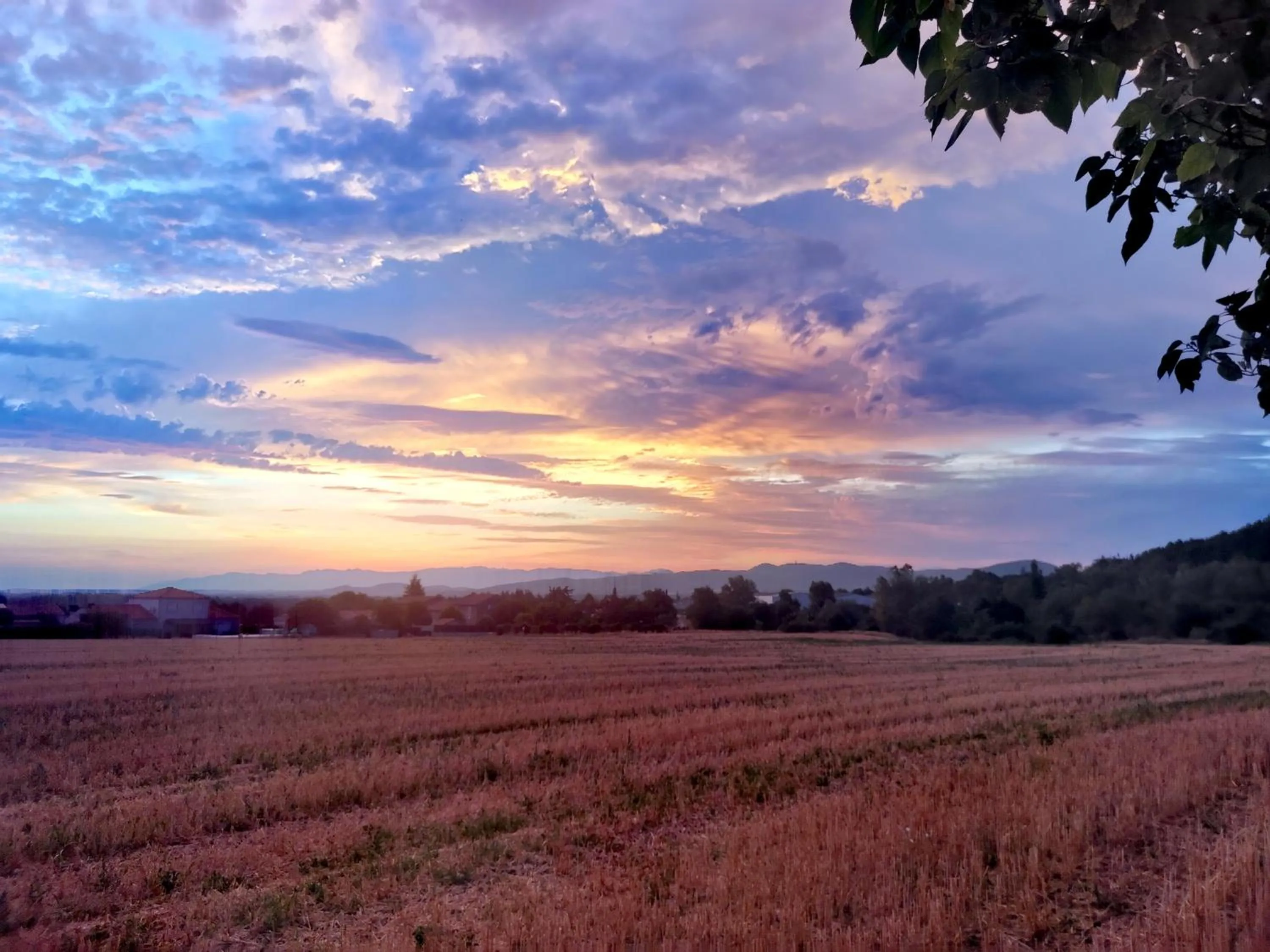Garden in Hôtel Rose des Vents