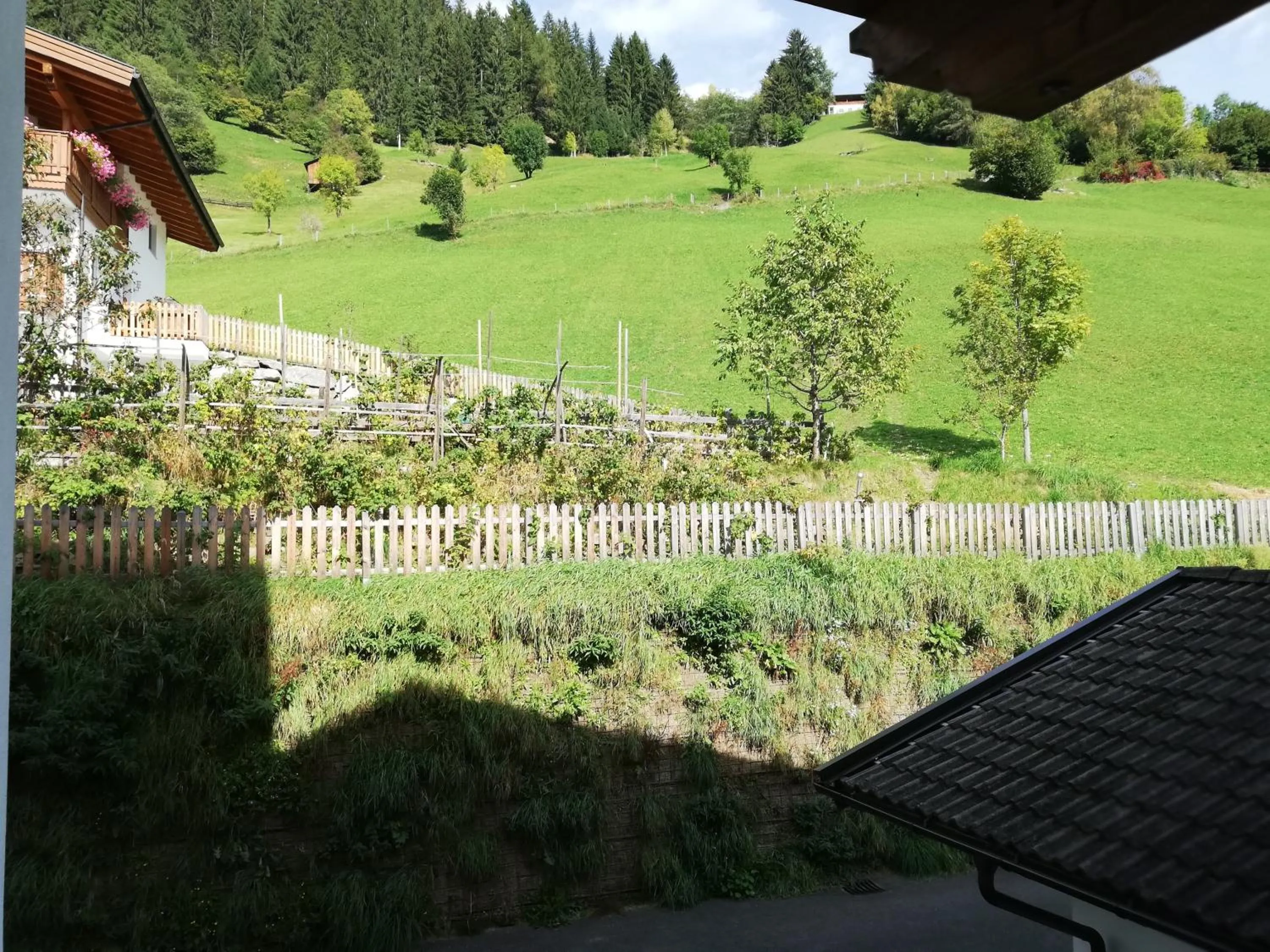 Mountain view in Naturhotel Haller