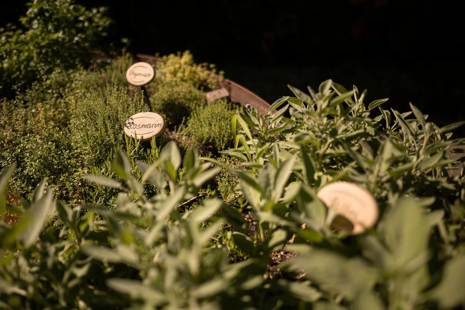 Garden in Vitalpina Hotel Schulerhof