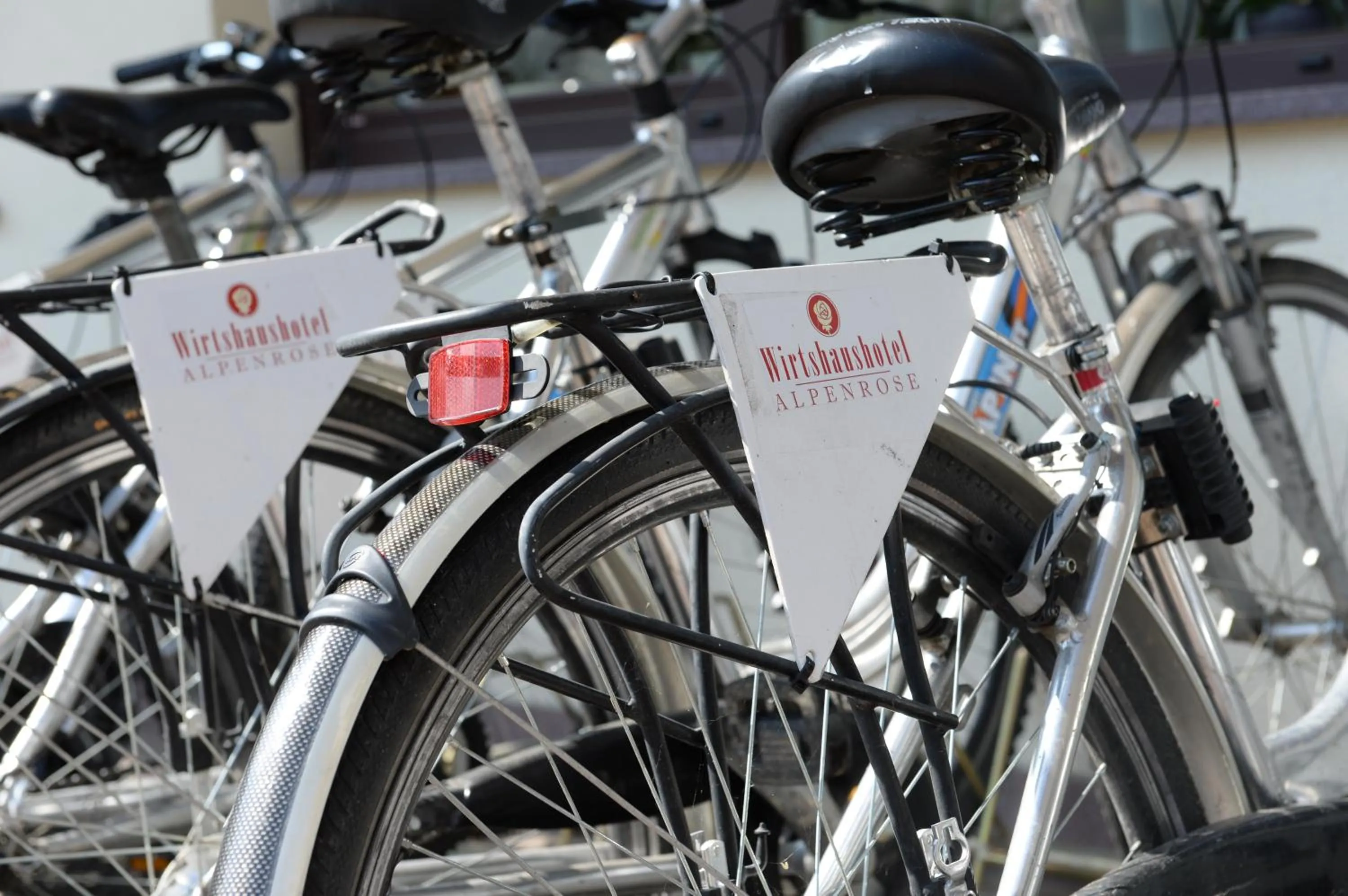Cycling in Wirtshaushotel Alpenrose